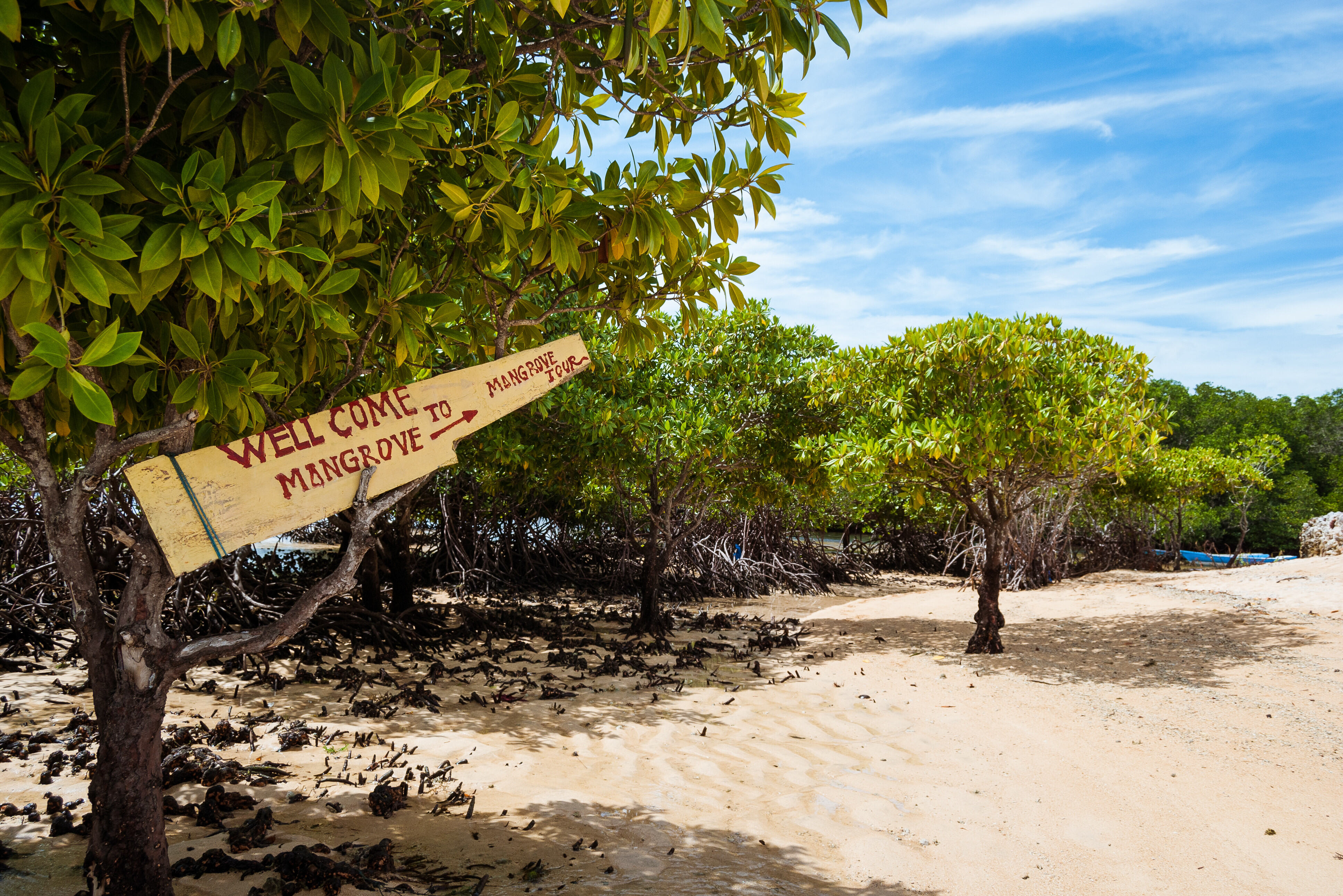 Indonesie Bali Nusa Lembongan Mangrove