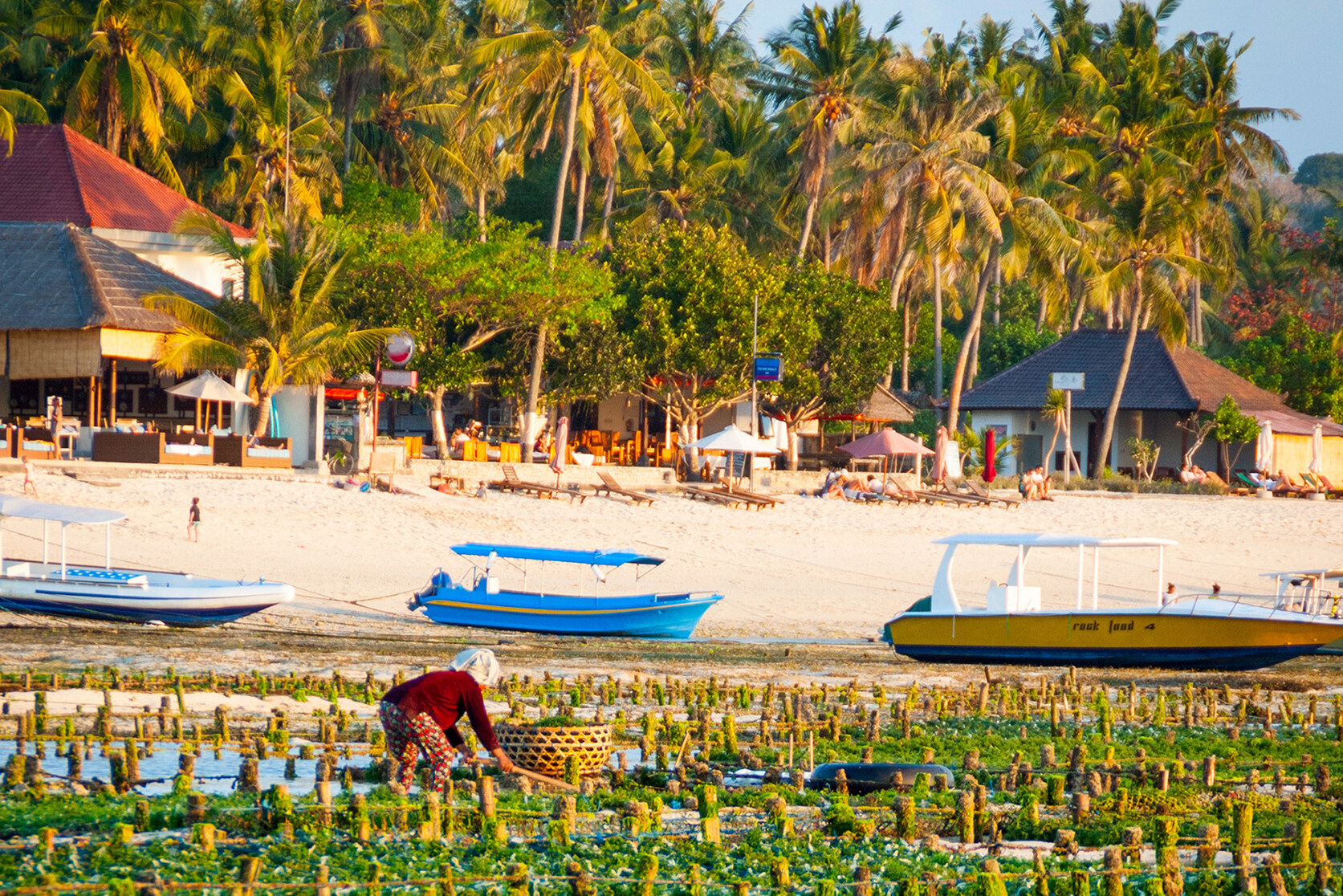 Indonesie Bali Nusa Lembongan Zeewierkwekerij