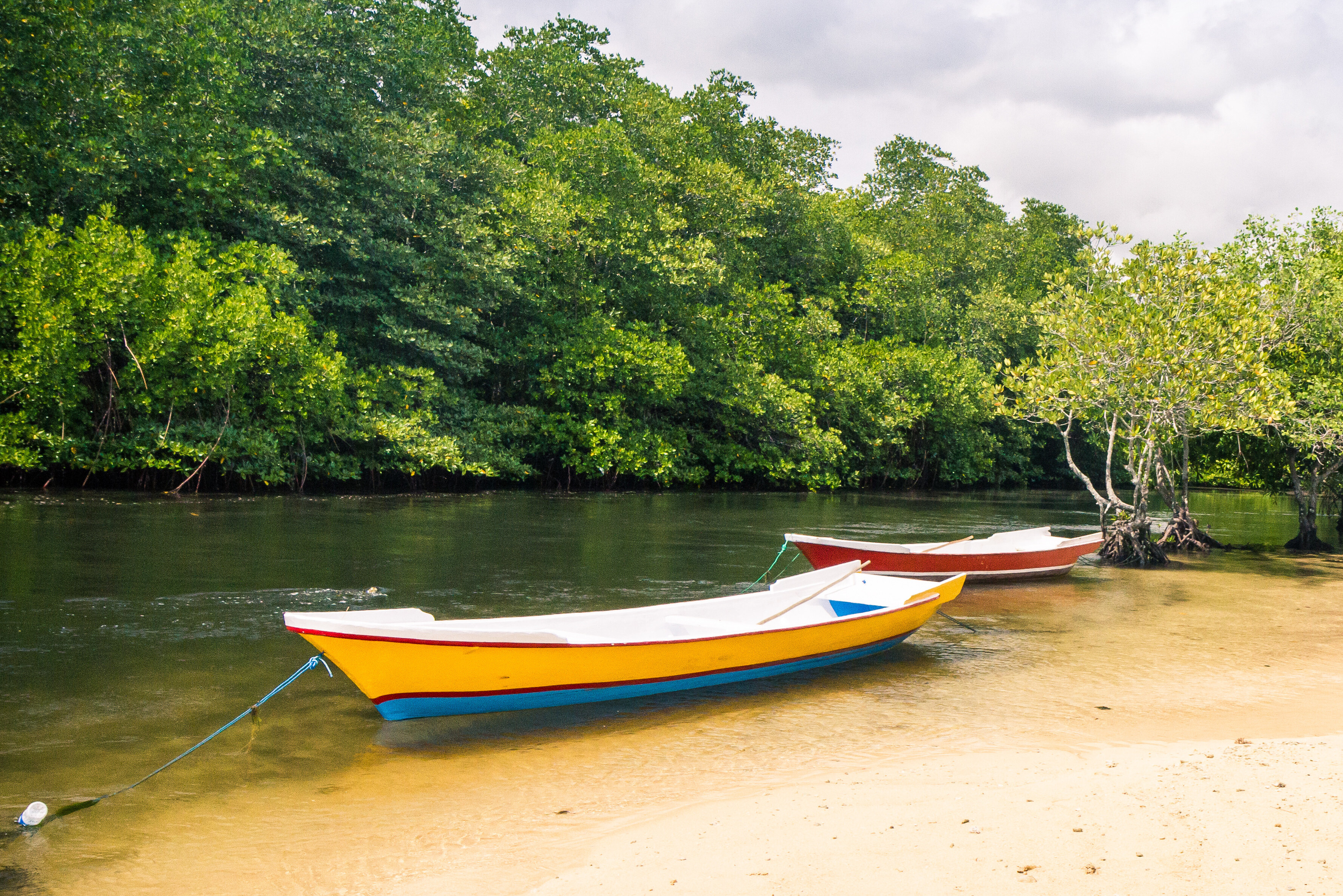 Indonesie Bali Nusa Lembongan Mangrove