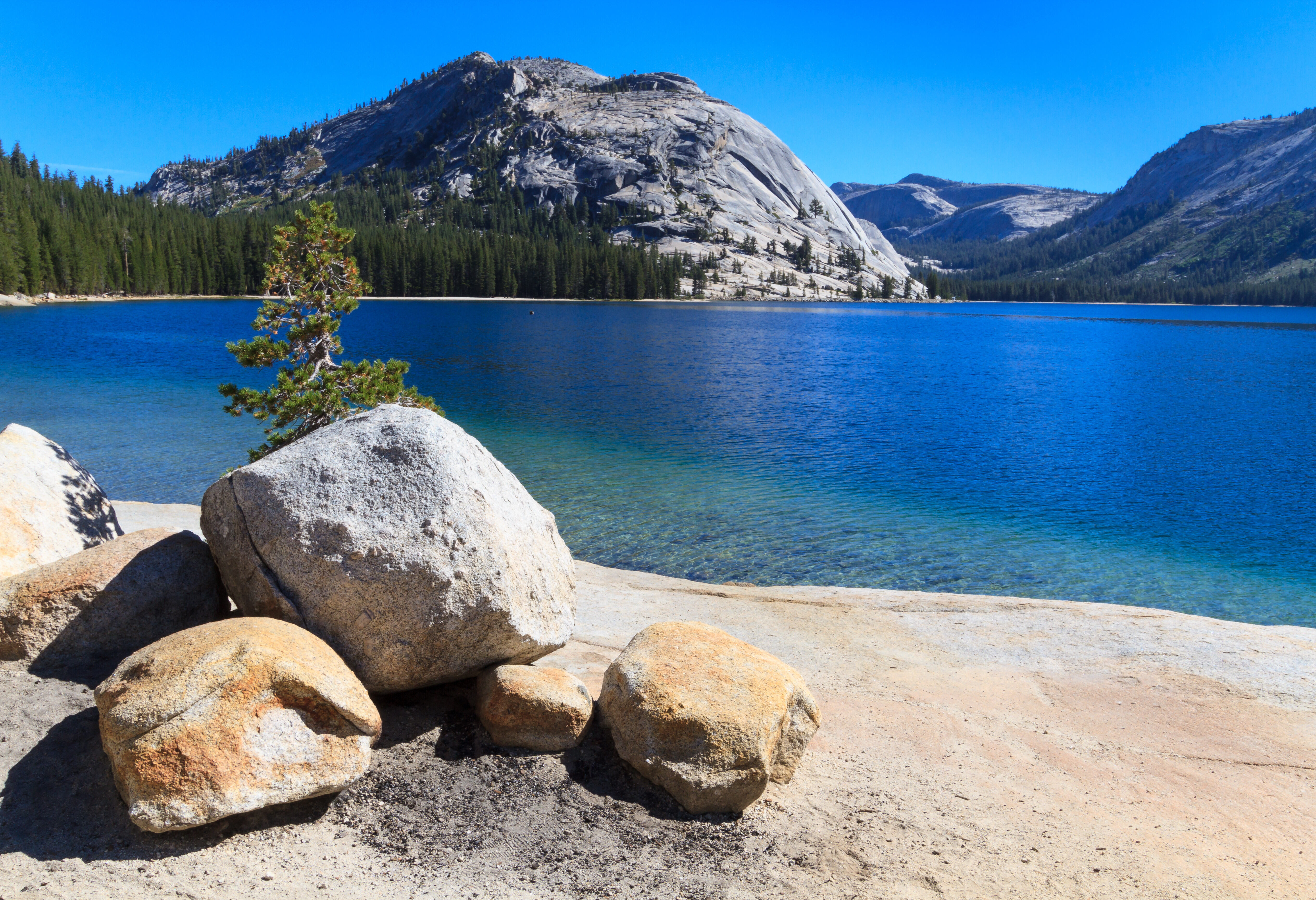 Amerika California Yosemite Tioga Pass Lake