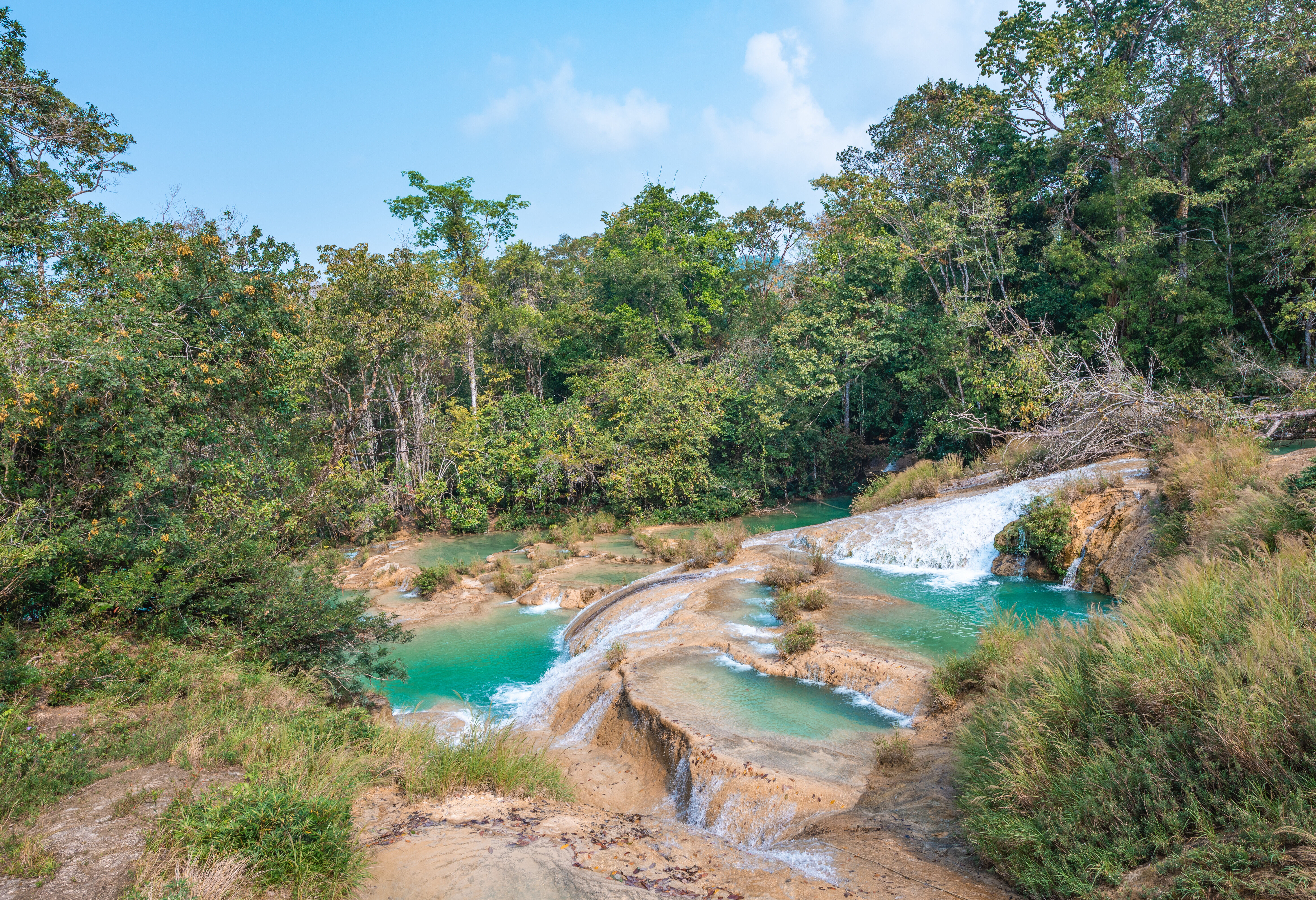 Roberto Barrios watervallen bij Palenque