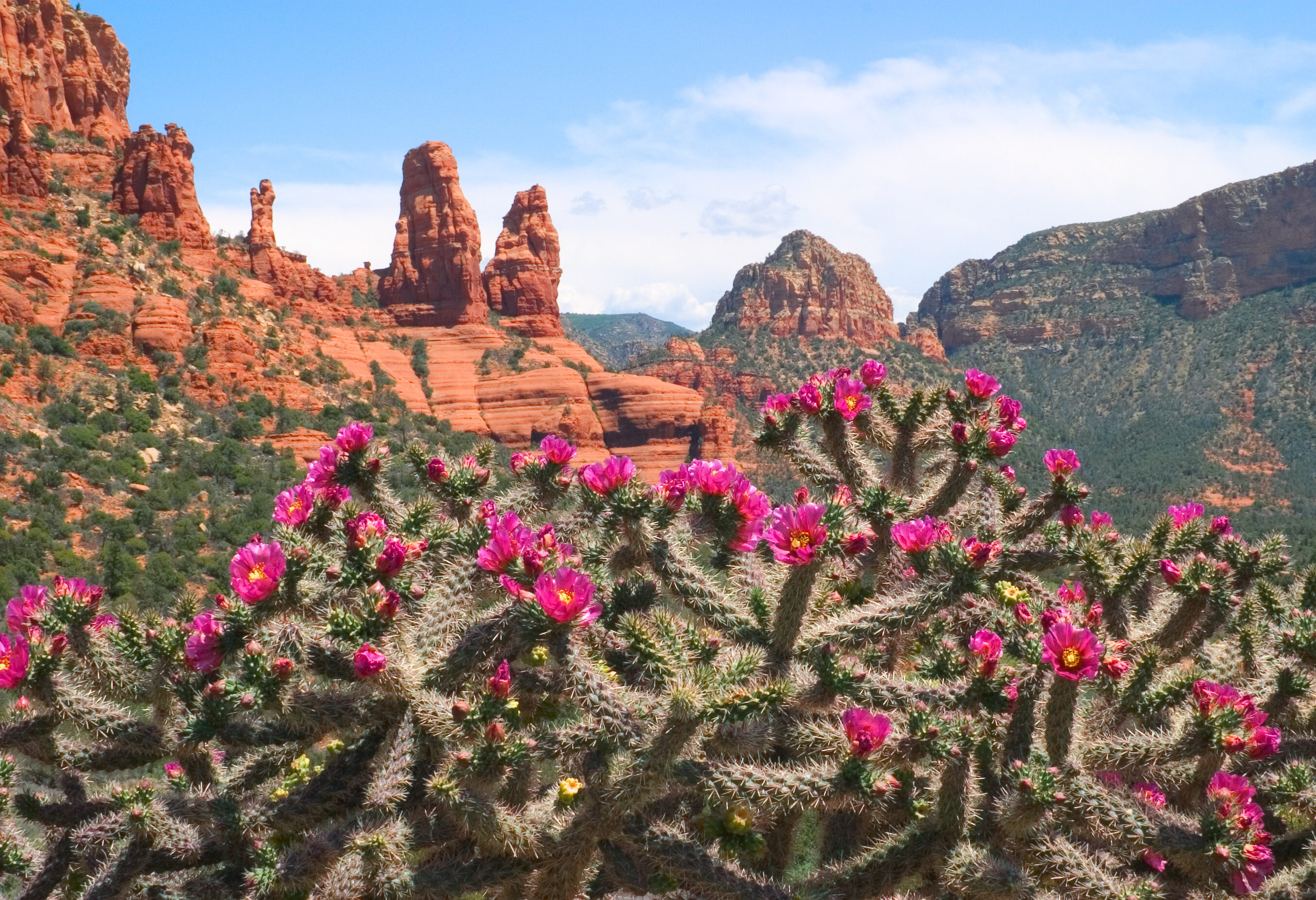 Amerika Sedona Rode Rotsen