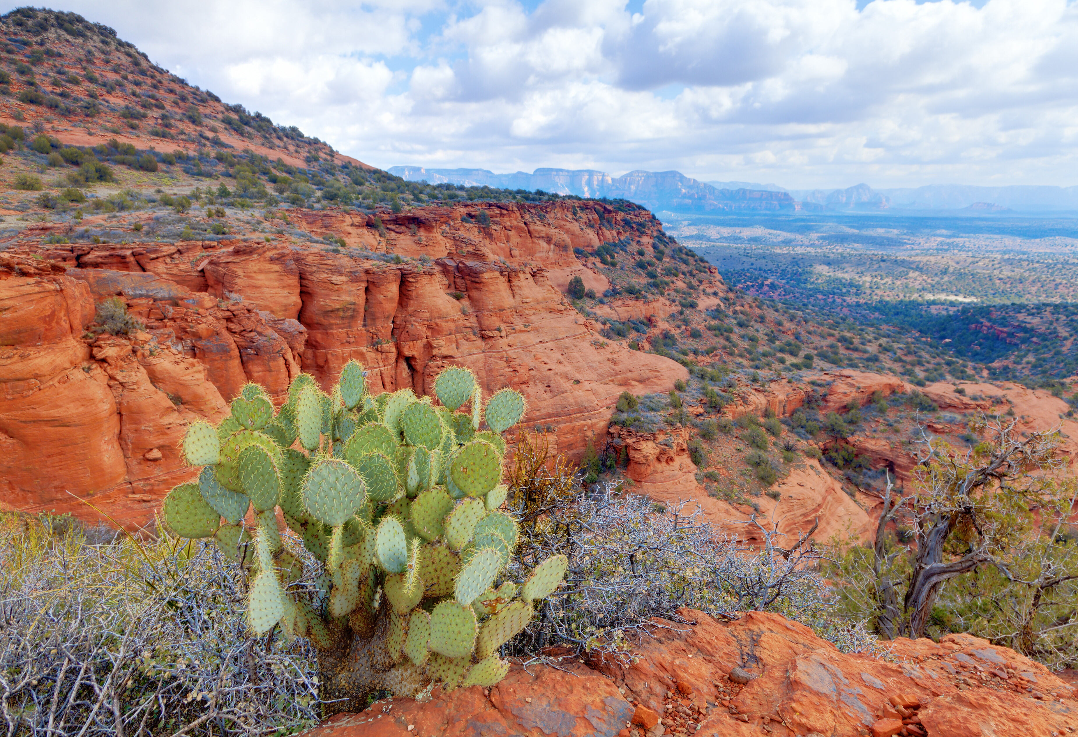 Amerika Sedona Red Rock Park