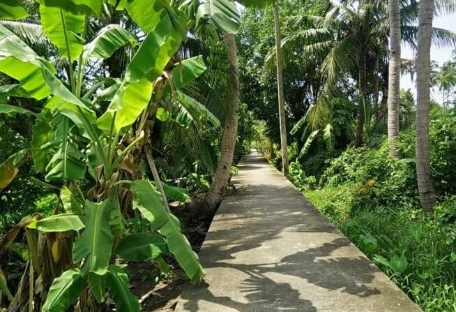 Fietsen door de groene kant van Bangkok