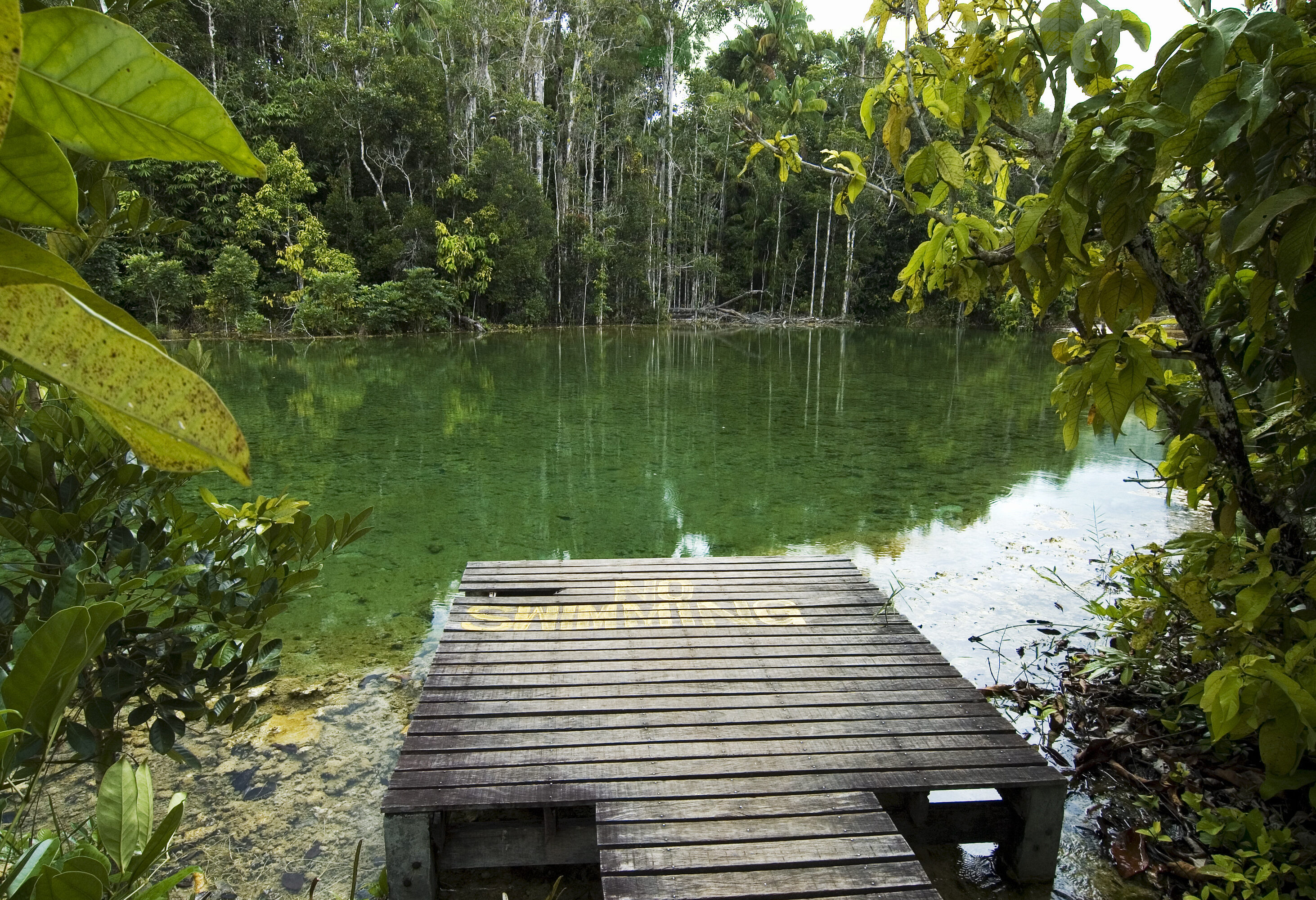 Watertje in de jungle van Thailand
