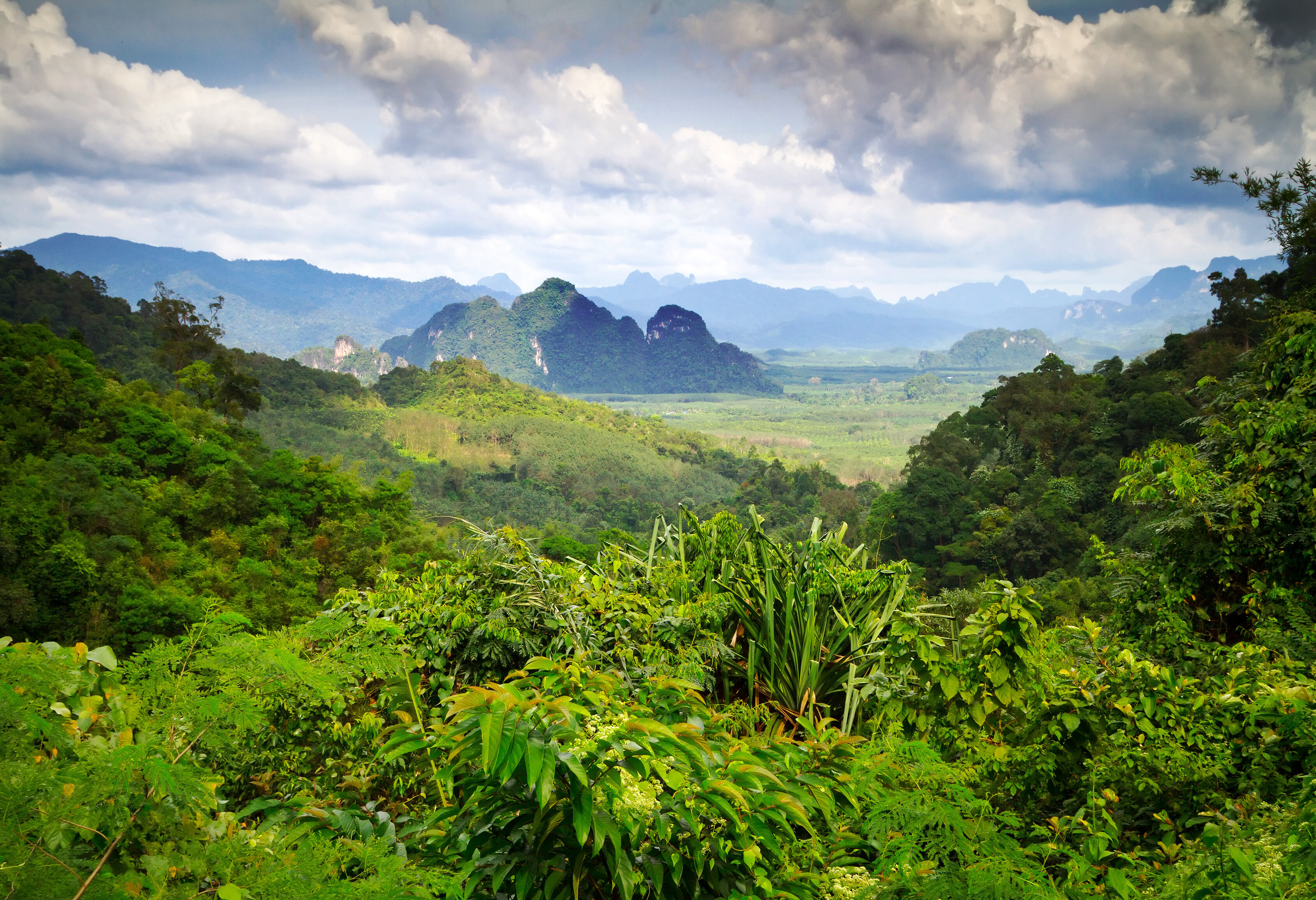 UItgestrekte Khao Sok National Park