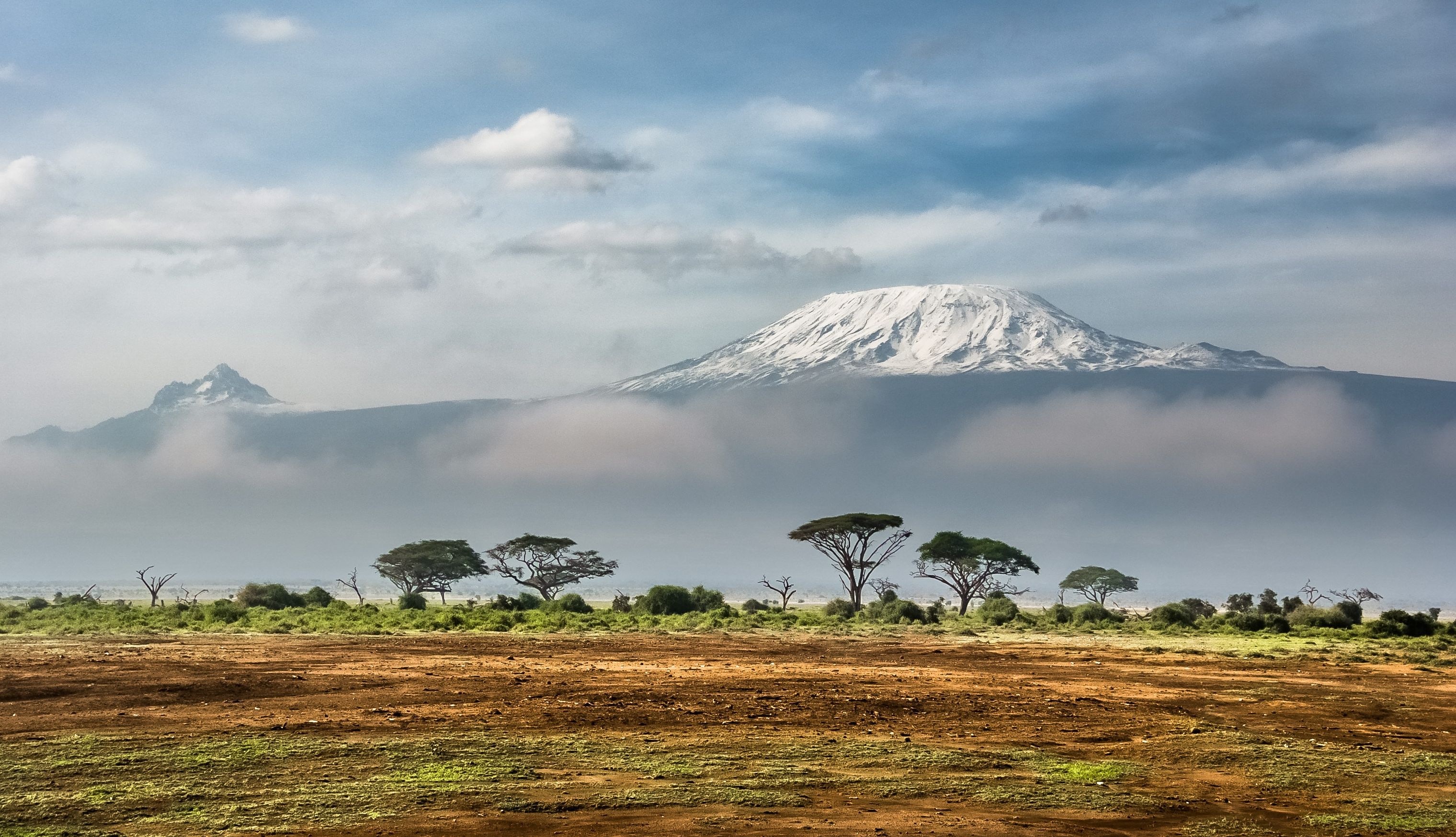Kilimanjaro