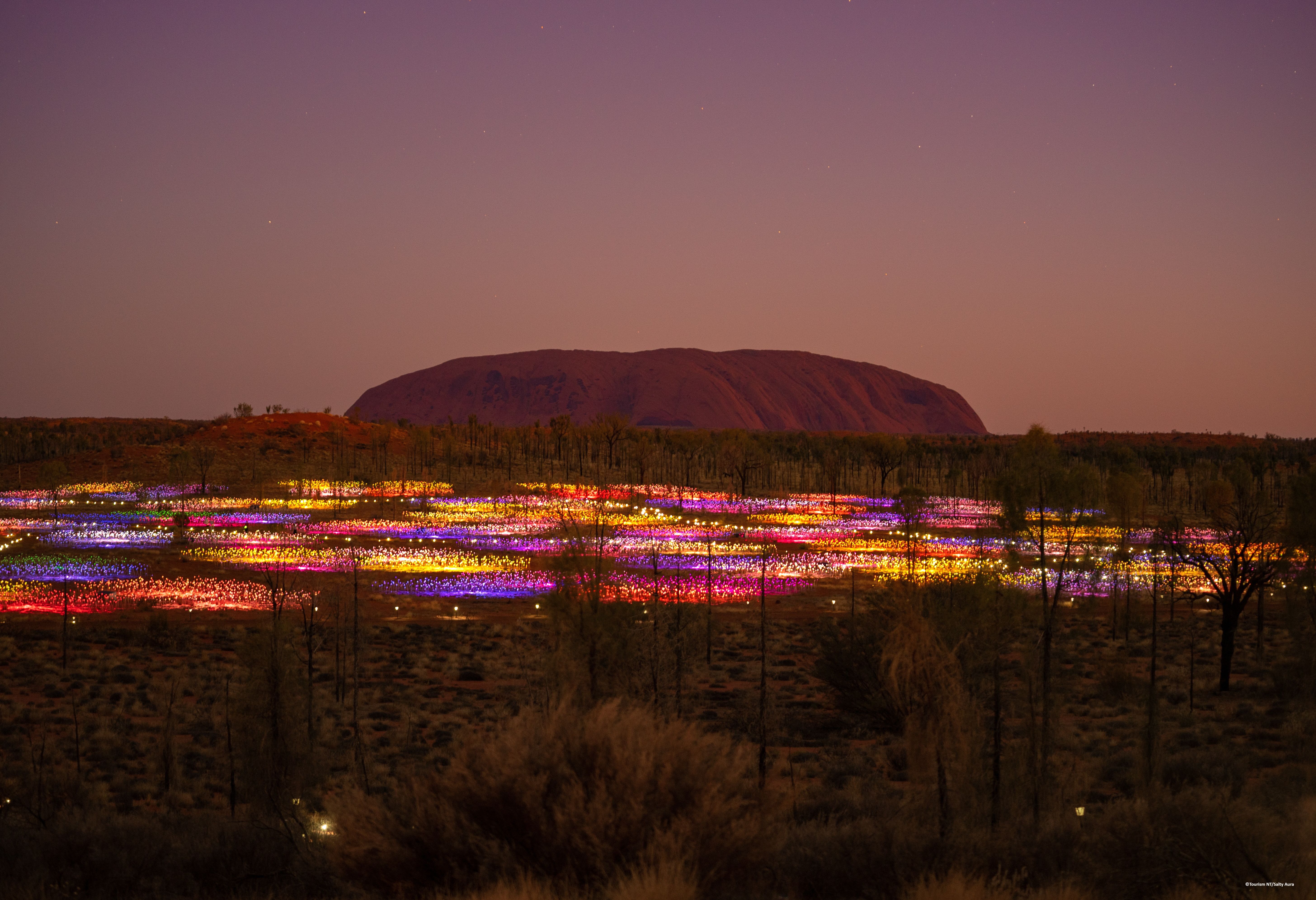 Field of Light installatie bij Uluru in Australië