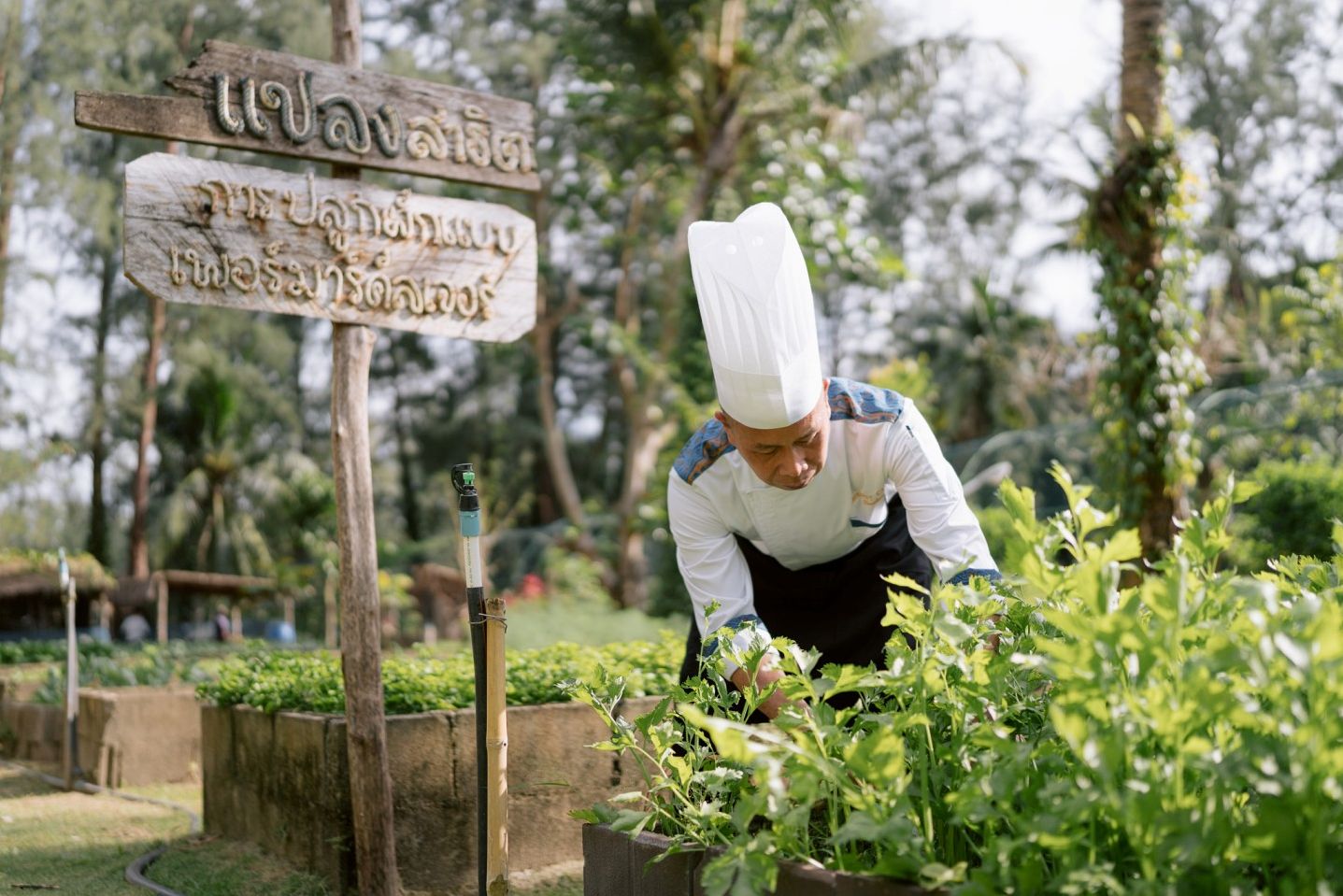 Thailand Khao Lak Apsara Beachfront Resort Groente Tuin