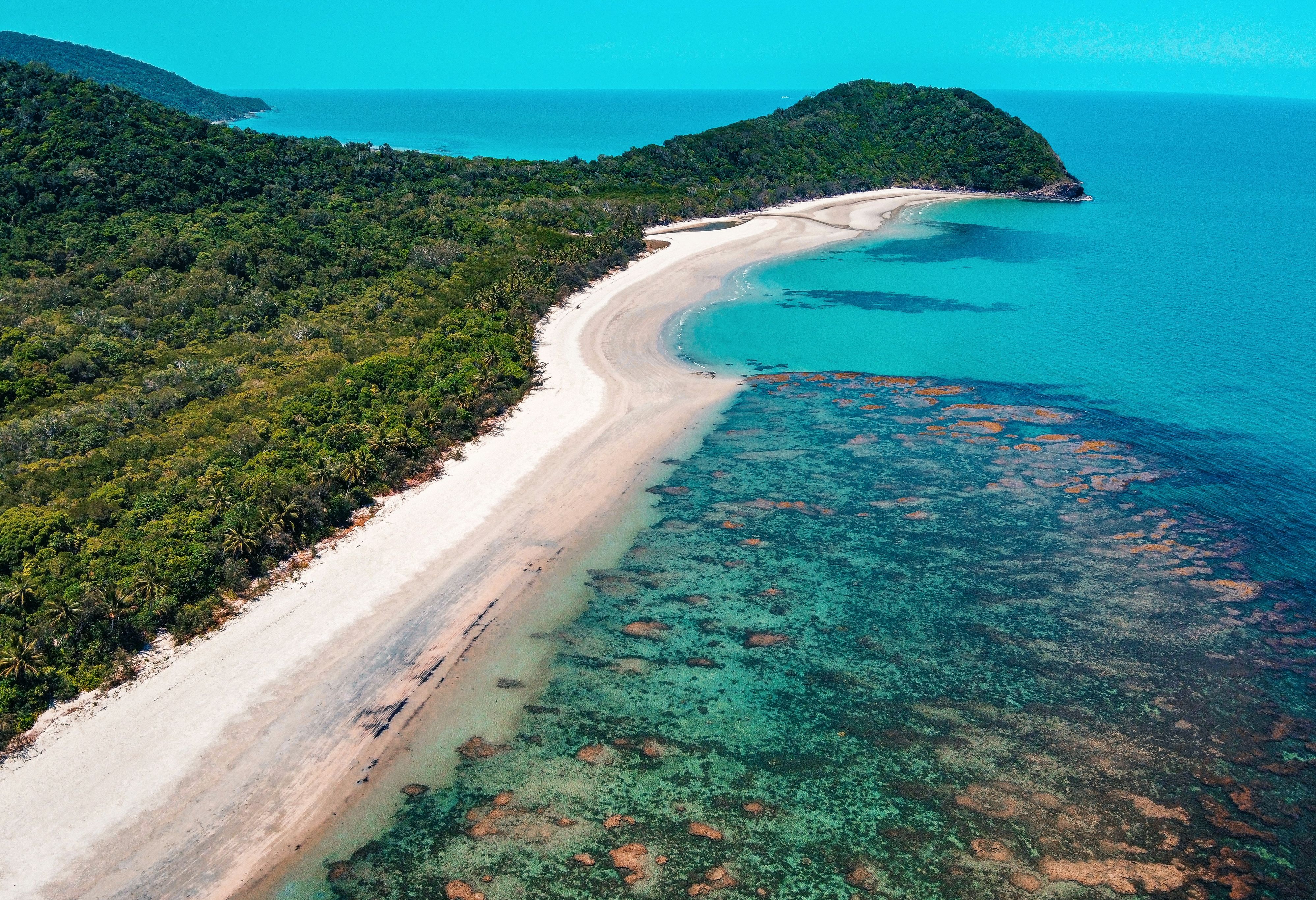 Daintree National Park en Cape Tribulation in Australie