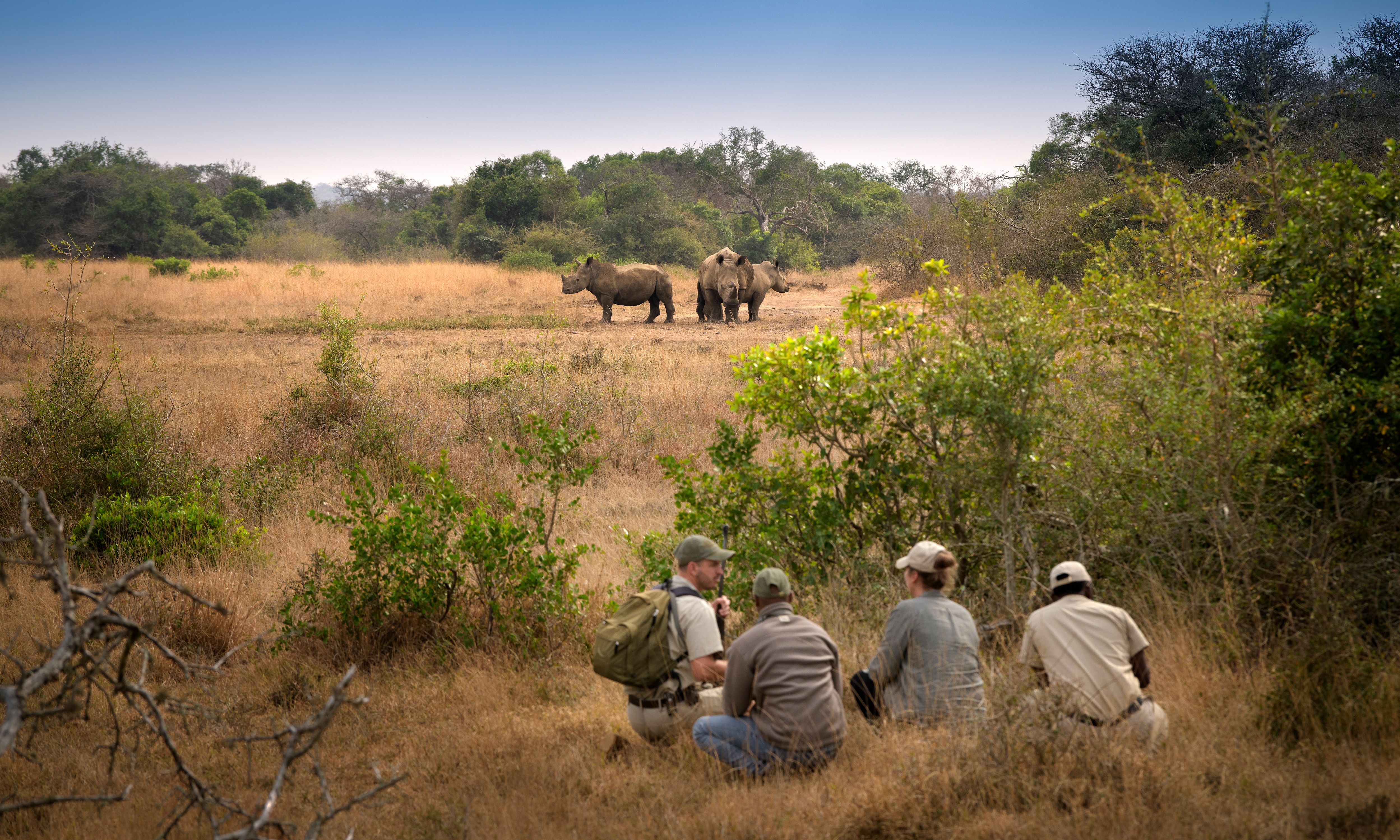 Zuid-Afrika-Phinda-Private-Game-Reserve-Phinda-Zuka-Lodge-Safari-Wandeling