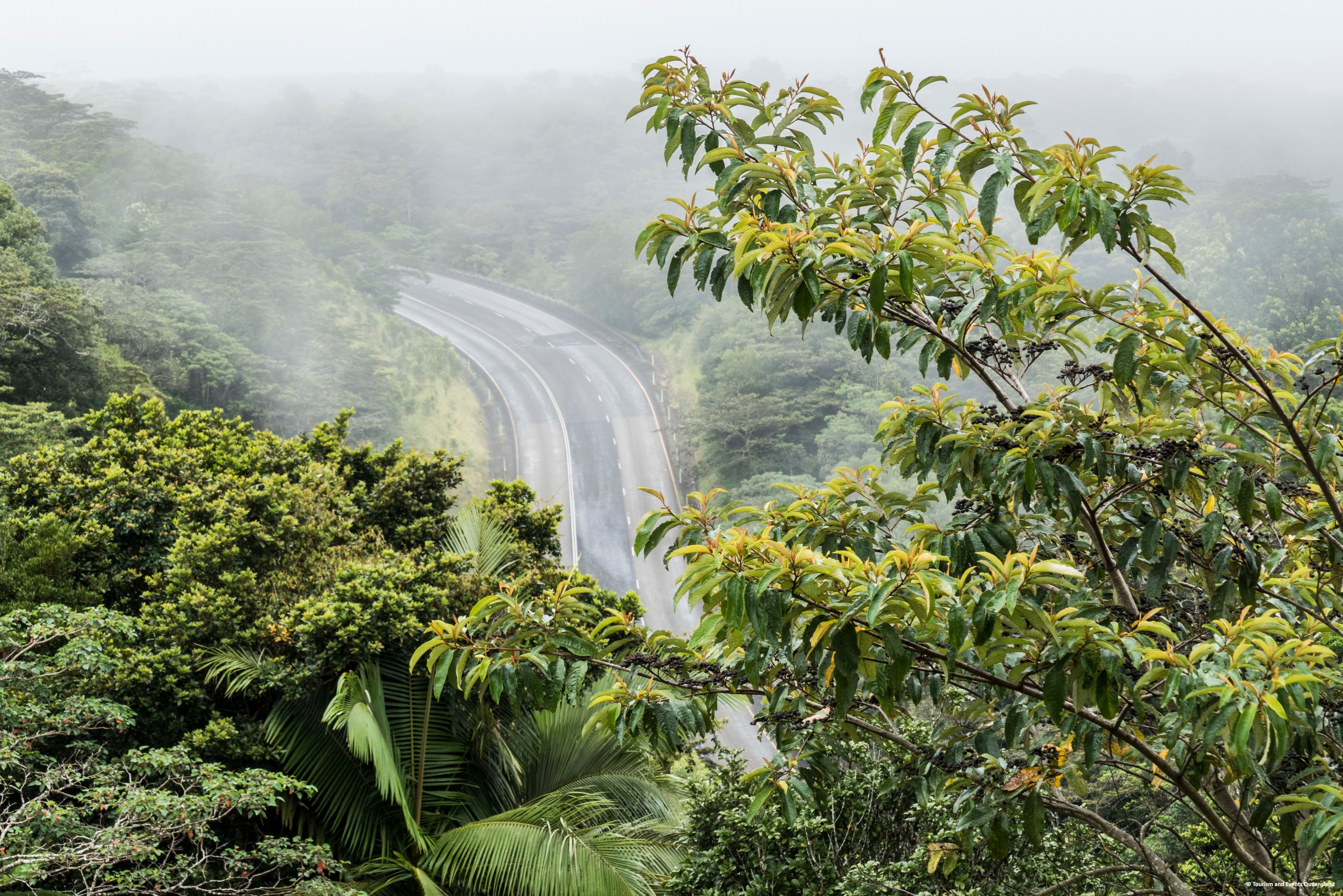 Millaa Millaa Lookout in de Atherton Tablelands in Australie