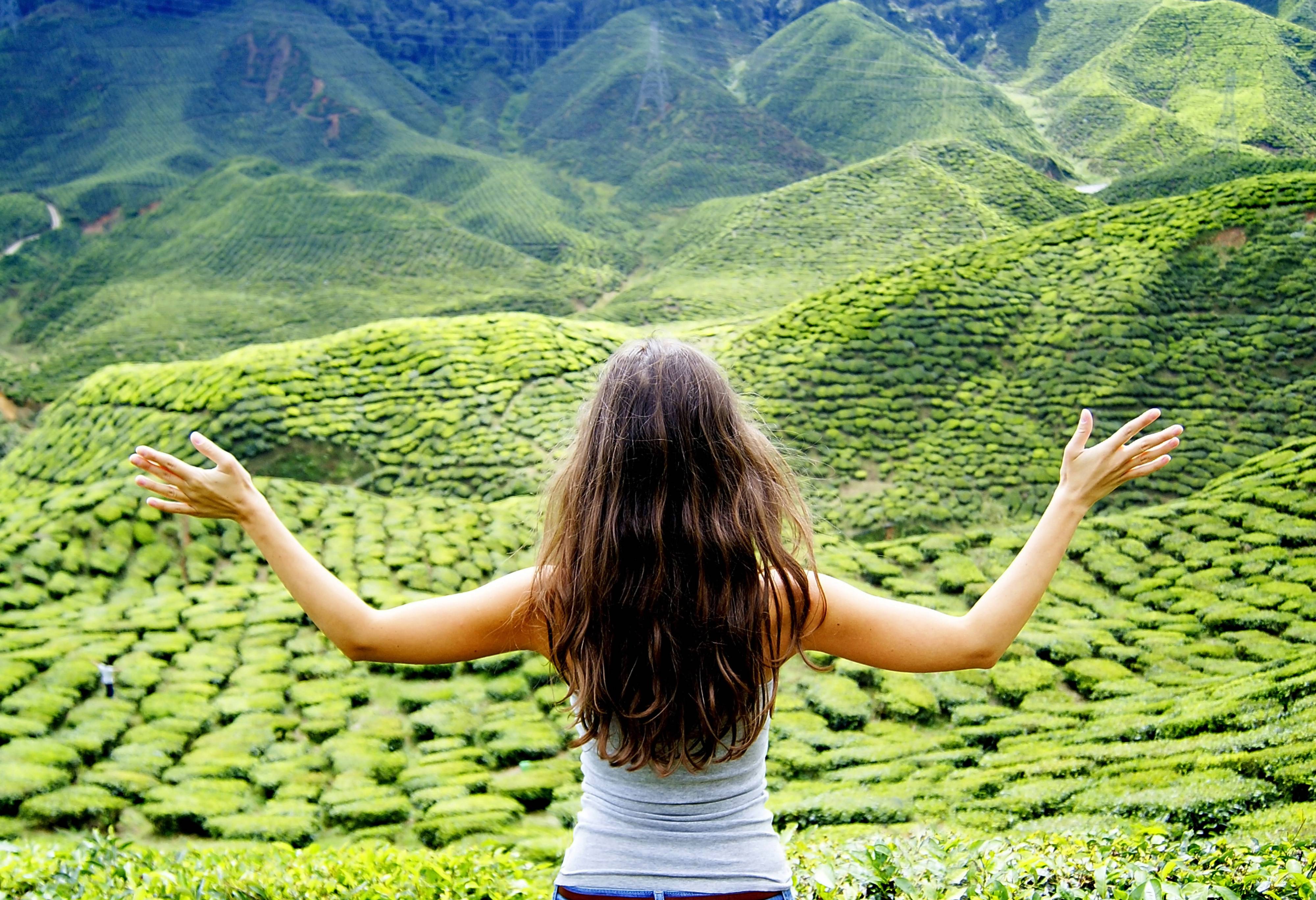 Theeplantage Cameron Highlands