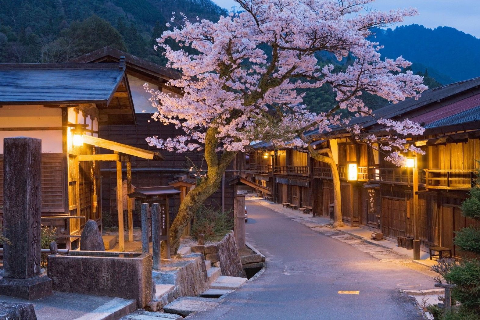 Kersenbloesem Nakasendo Trail door de Kiso Vallei