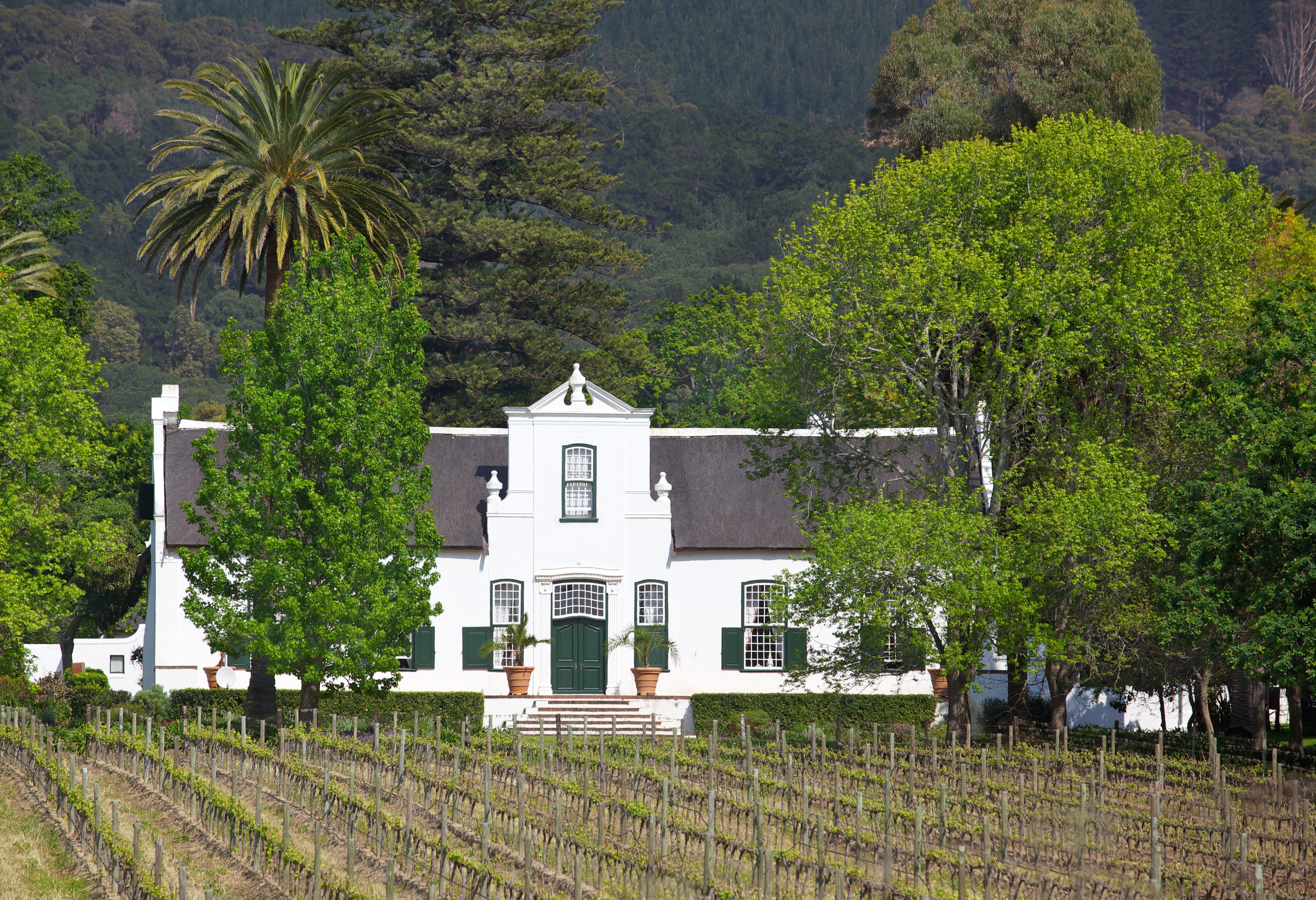 Kaapse Pracht in Zuid-Afrika
