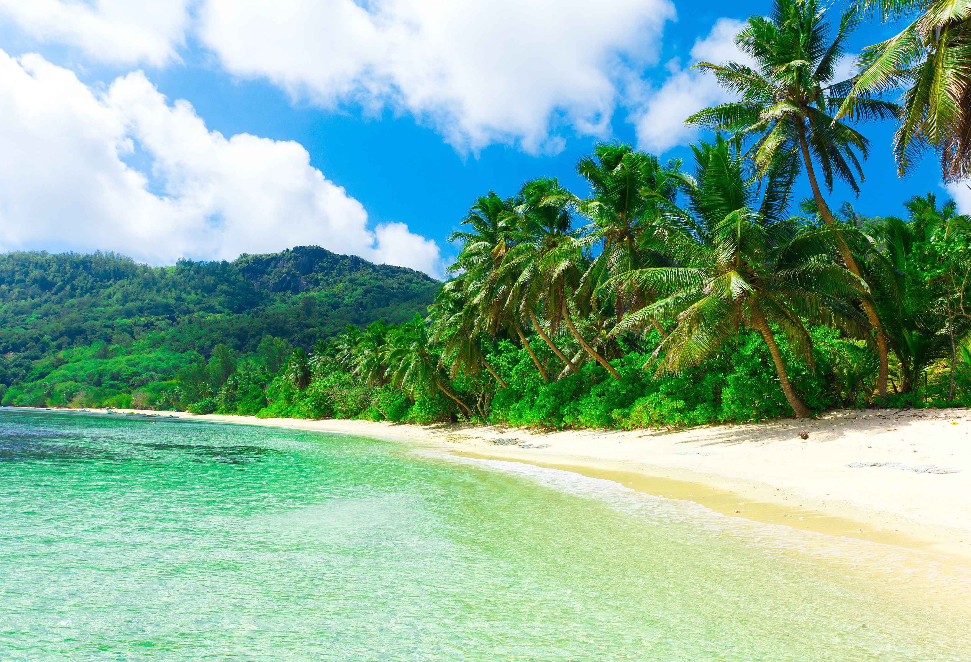 Strand op Maui, Hawaii