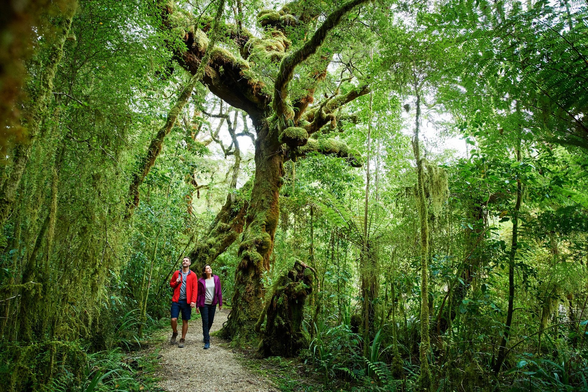 West Coast Nieuw Zeeland