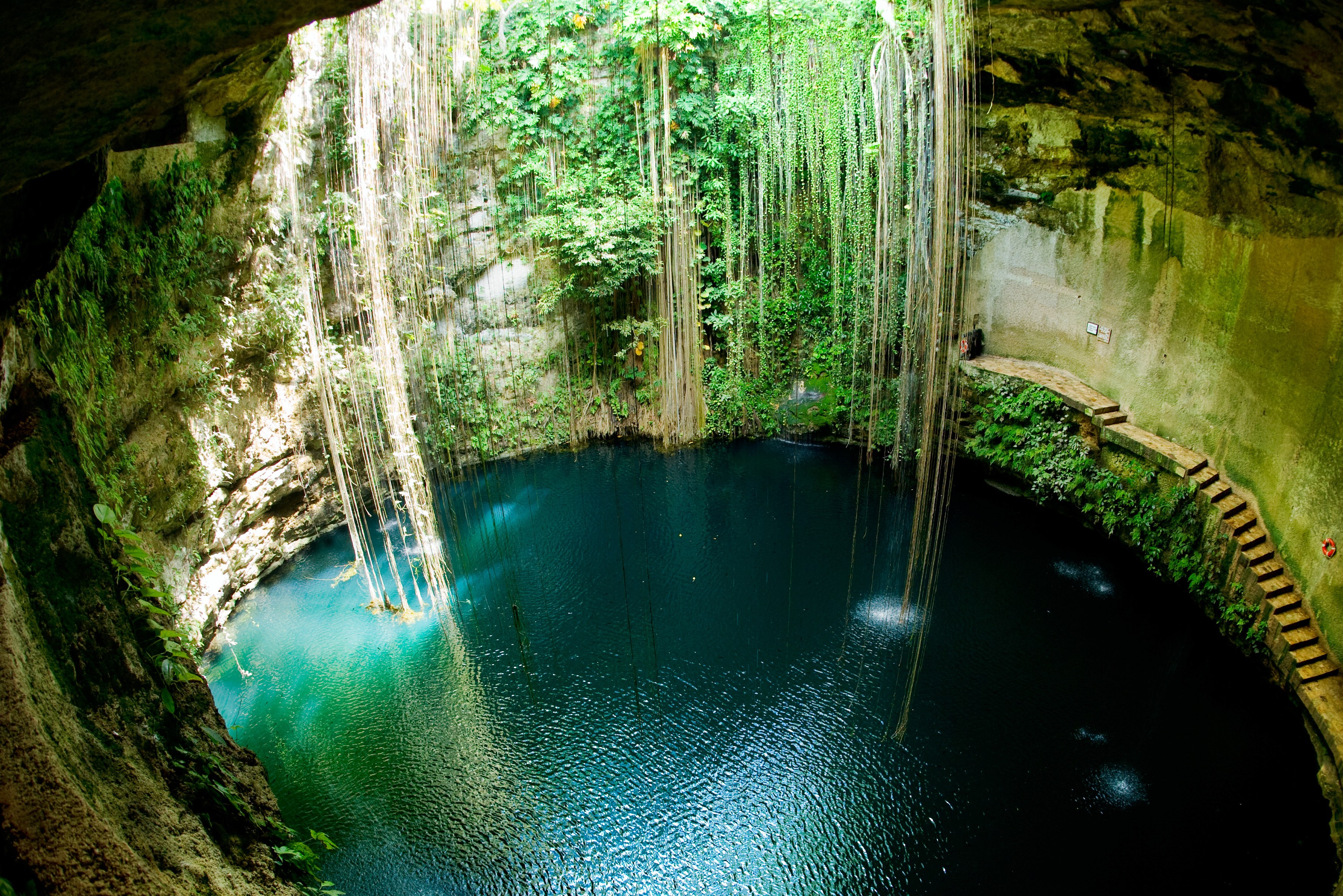 Zwemmen in de Il Kil cenote bij Chichen Itza op schiereiland Yucatan in Mexico