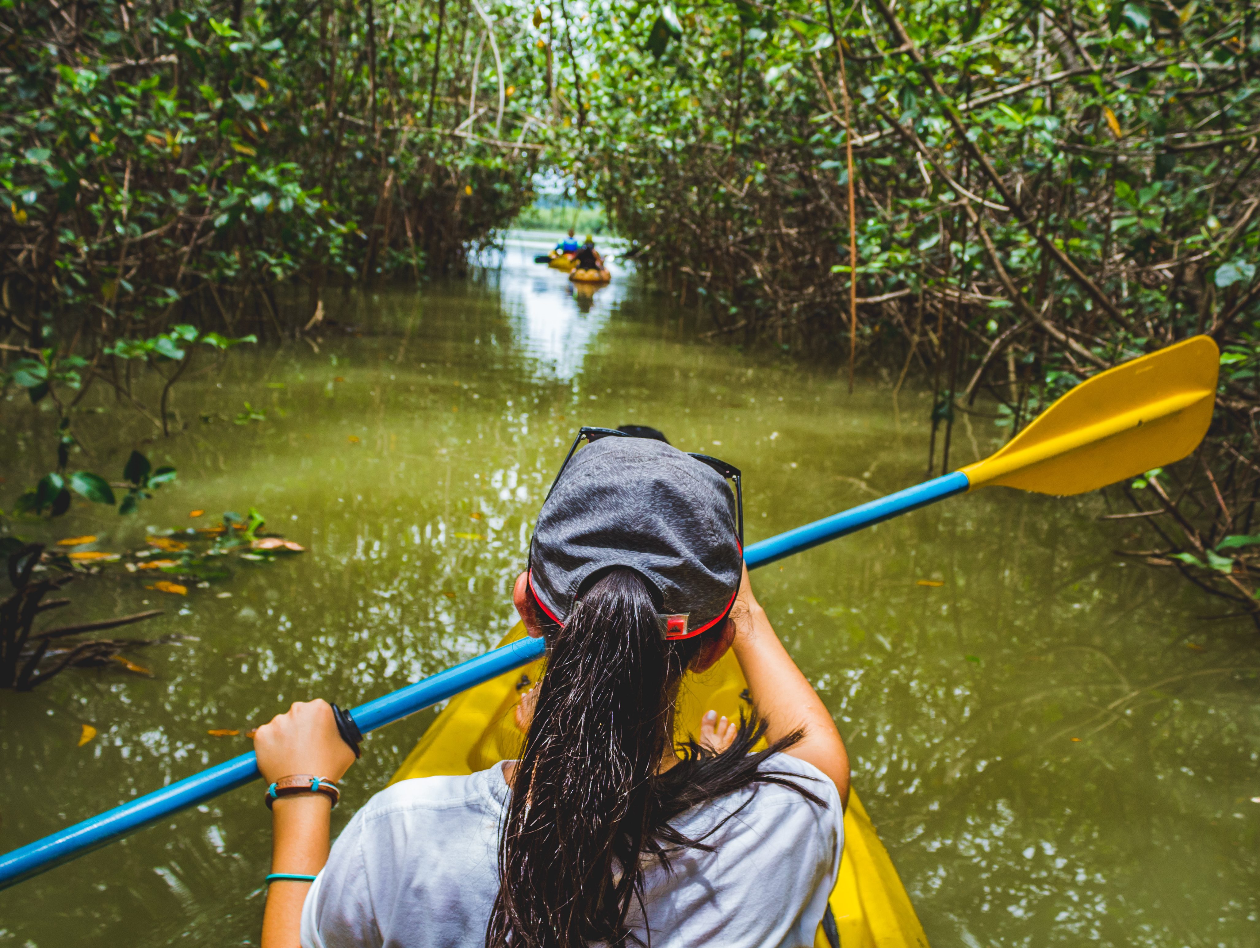 Kajakken door de mangrove van Manuel Antonio, Costa Rica