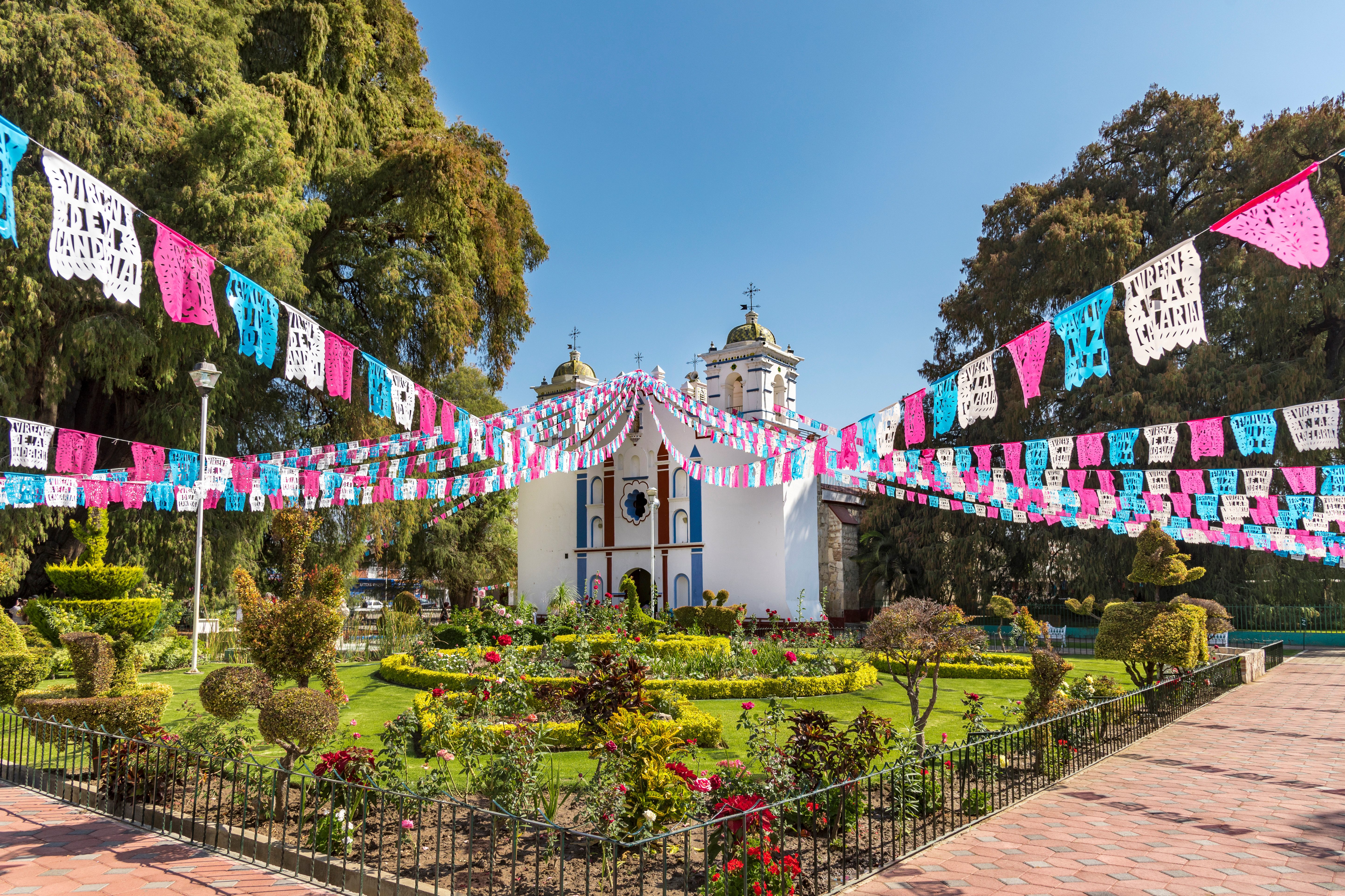 Tule tuin vlakbij Oaxaca