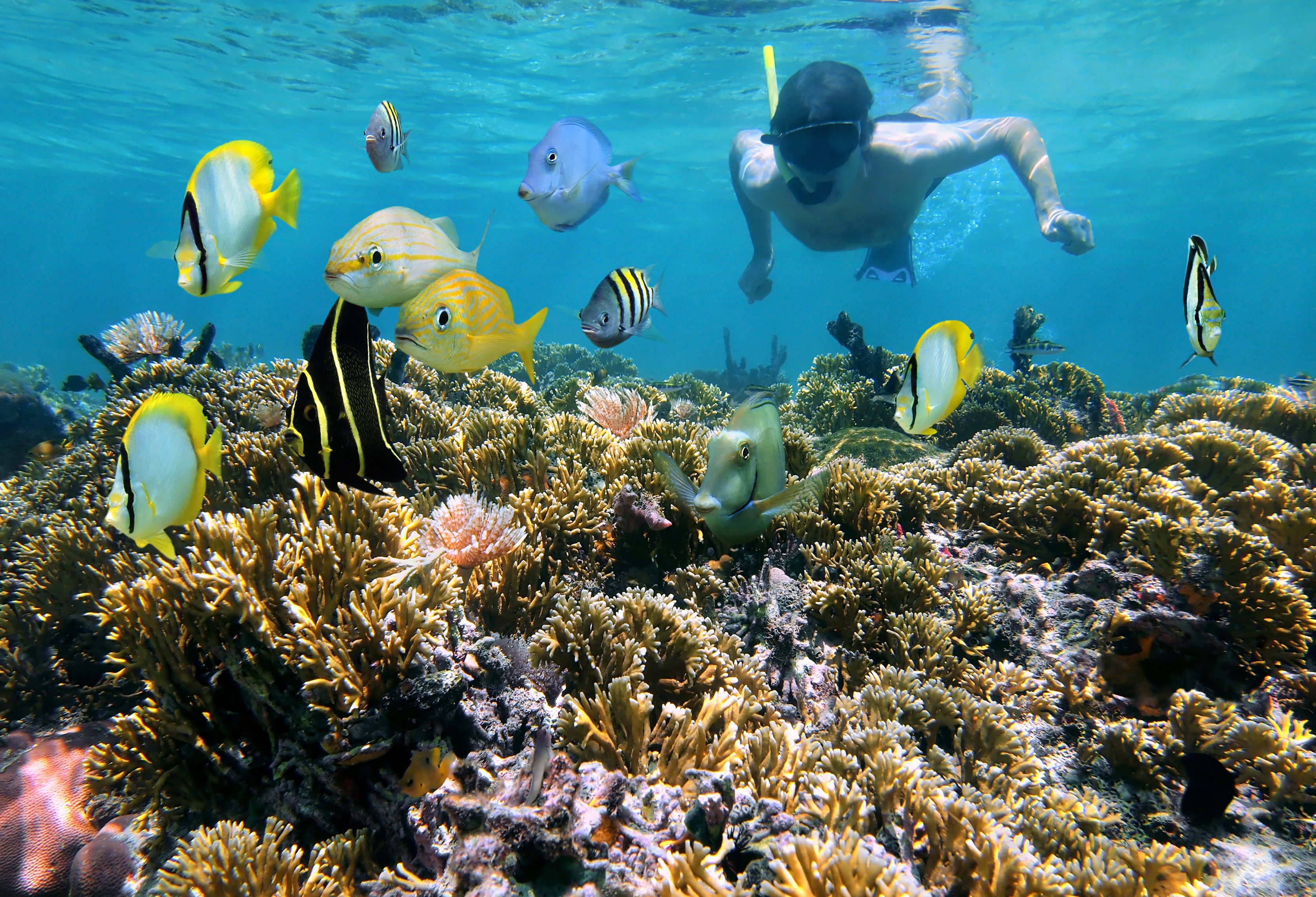 Thailand Snorkelen Koh Tan