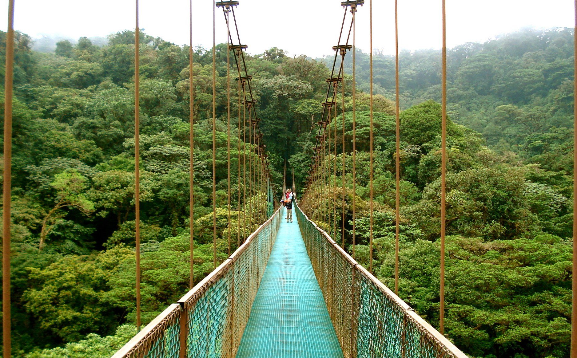 Wandel over de vele hangbruggen in Monteverde, Costa Rica
