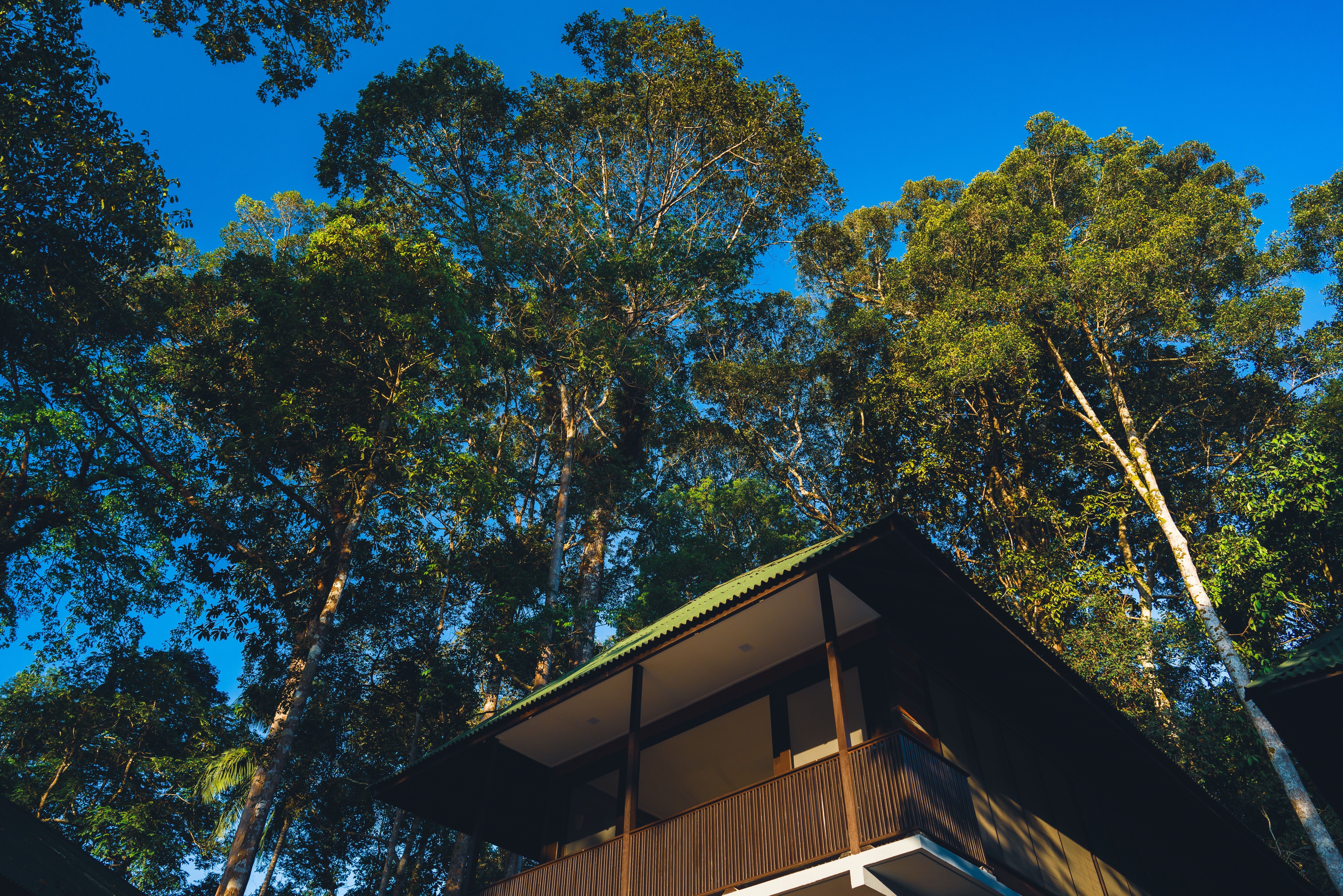 Rainforest Lodge bij Rompin State Park in Maleisie