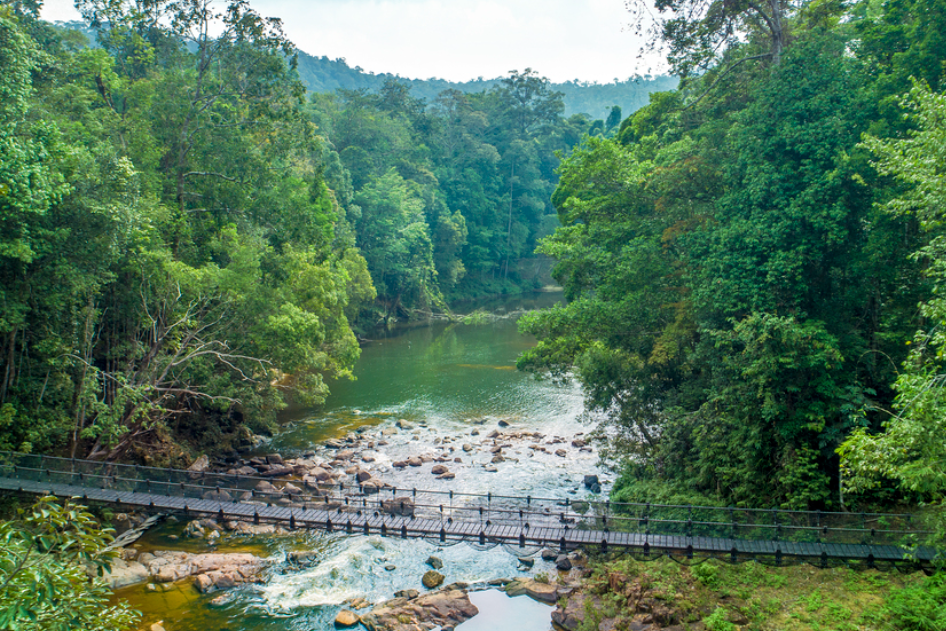 Hangbrug bij Rompin State Park in West-Maleisie