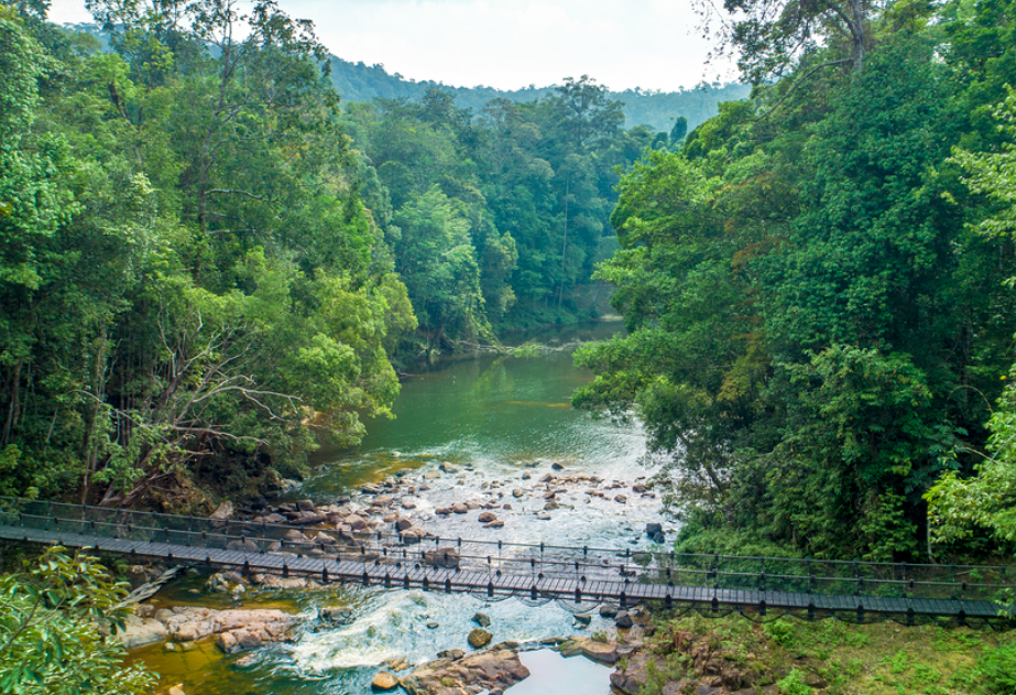 Hangbrug over de Kinchin rivier bij Rompin Rainforest in West-Maleisie