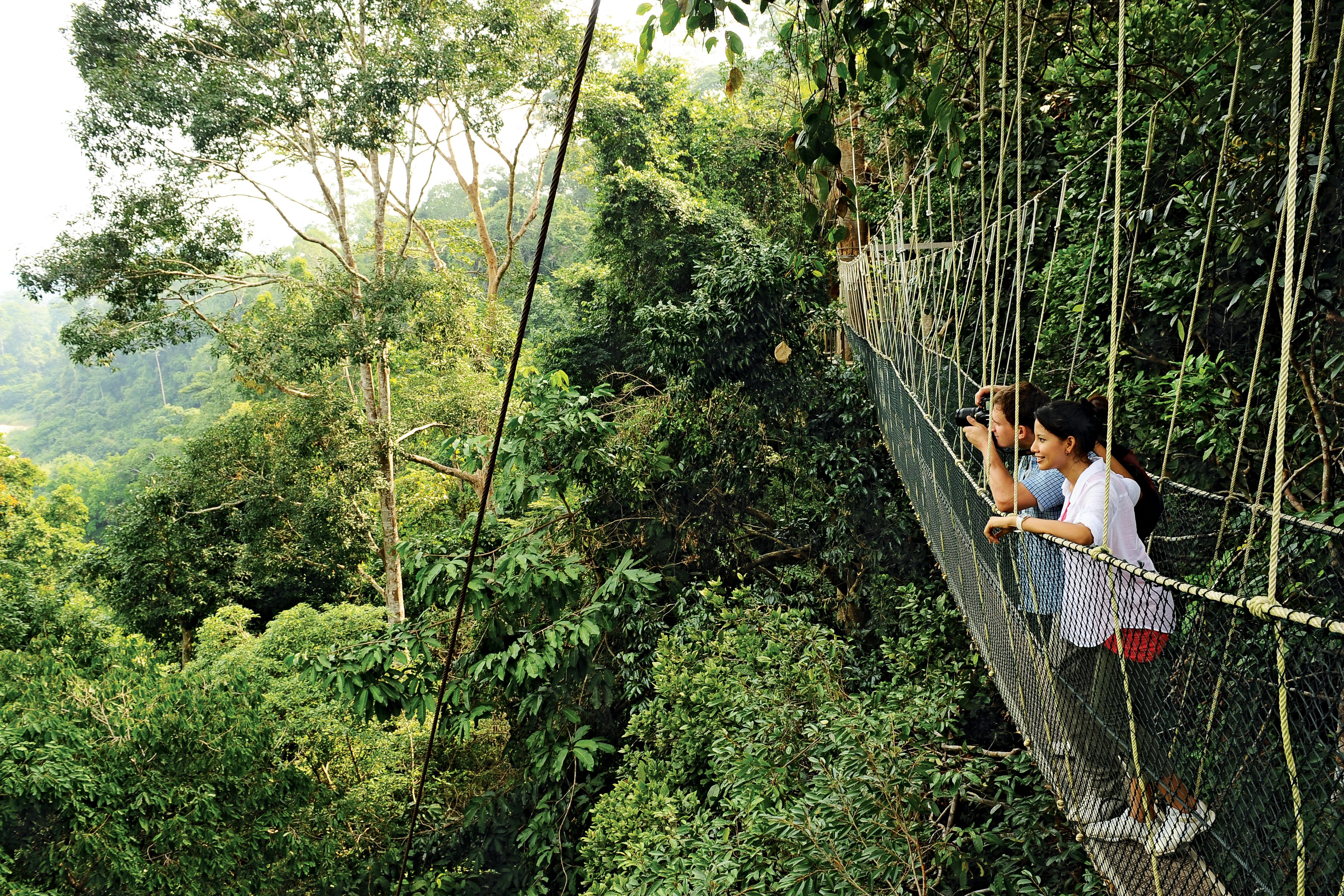 Maleisie-Taman-Negara-Canopy-walkway-2-personen