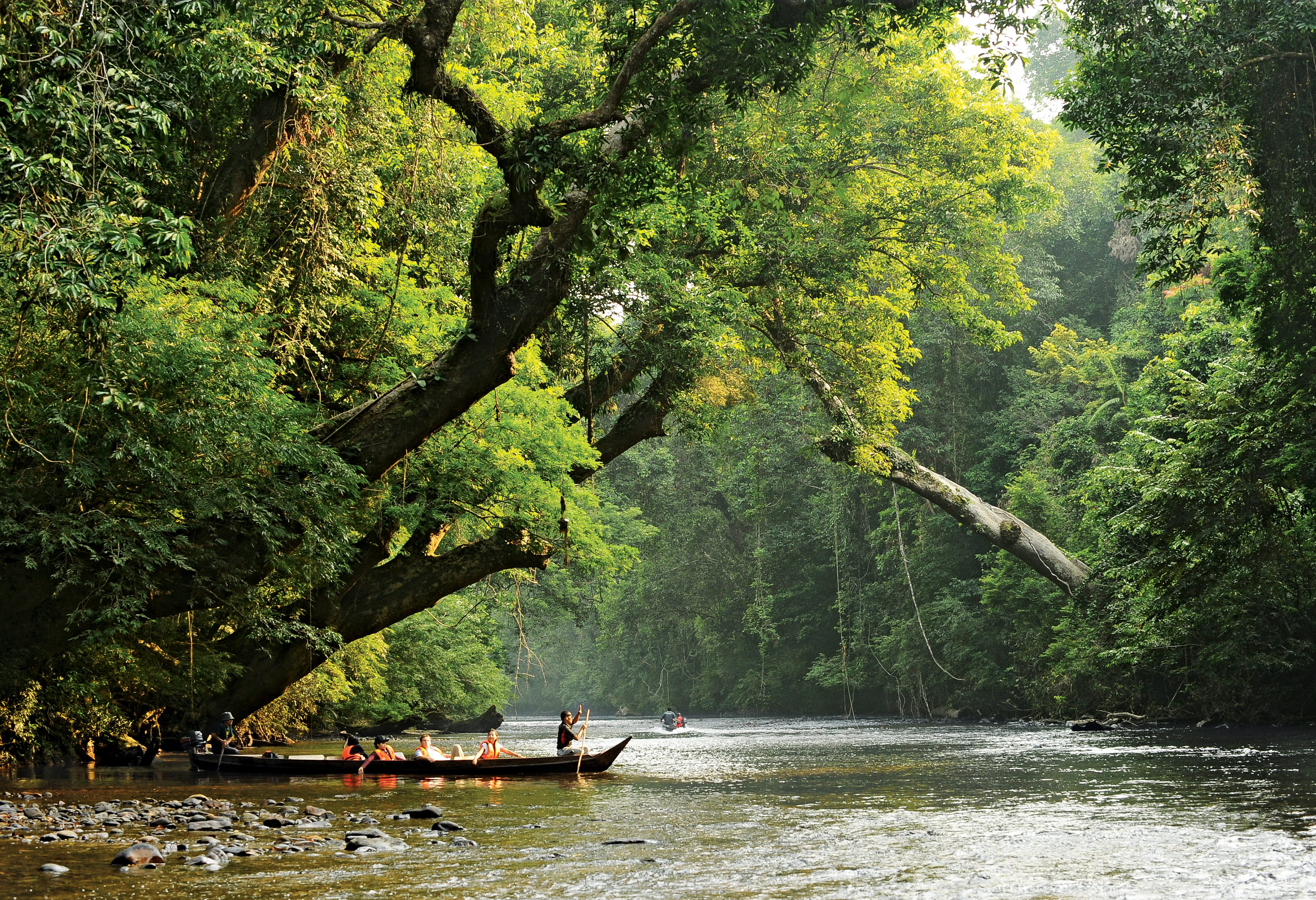 Maleisie-Taman-Negara-boottocht-naar-Lata-Berkoh
