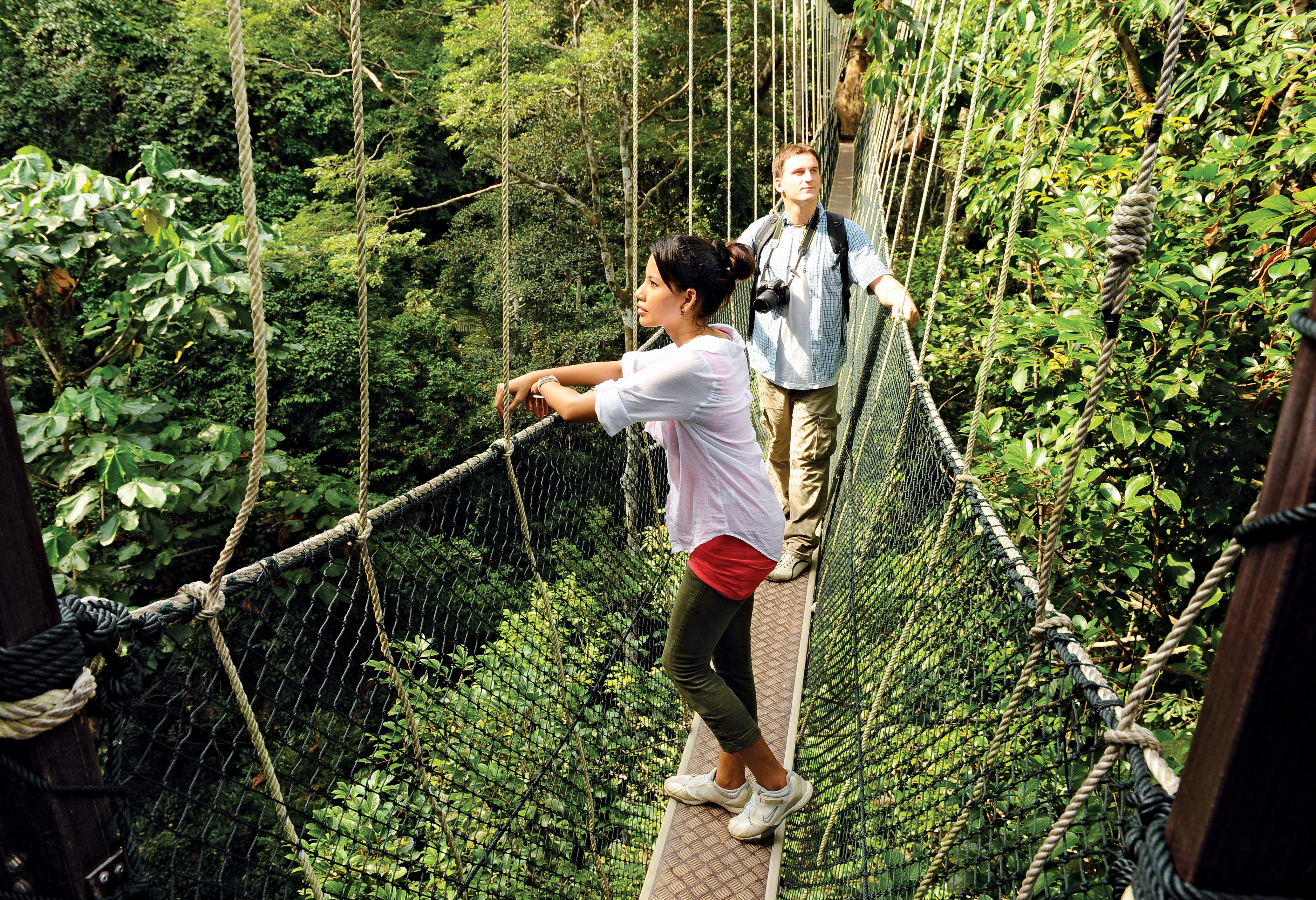 Maleisie-Taman-Negara-Canopy-walkway-2-personen-1