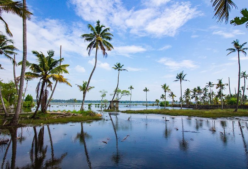 De waterrijke omgeving van Kumarakom in Kerala India