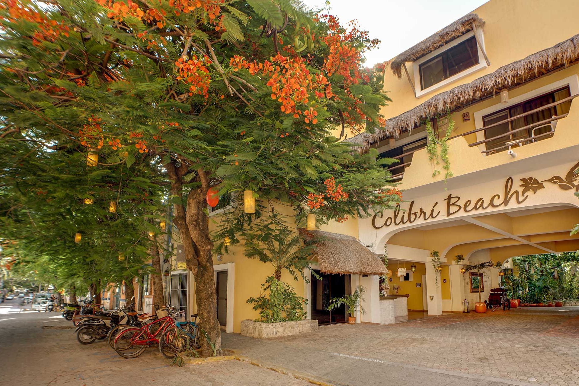Colibri Beach Hotel in Playa del Carmen Mexico