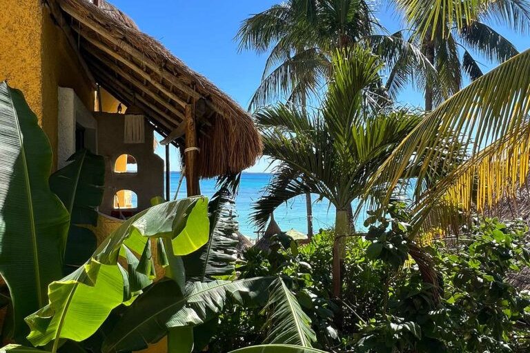 Tuin van Colibri Beach Hotel in Playa del Carmen Mexico