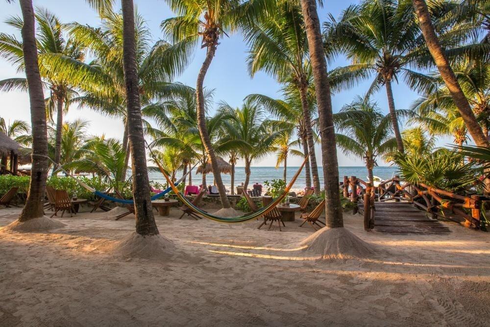 Palmentuin bij La Palapa op Isla Holbox in Mexico