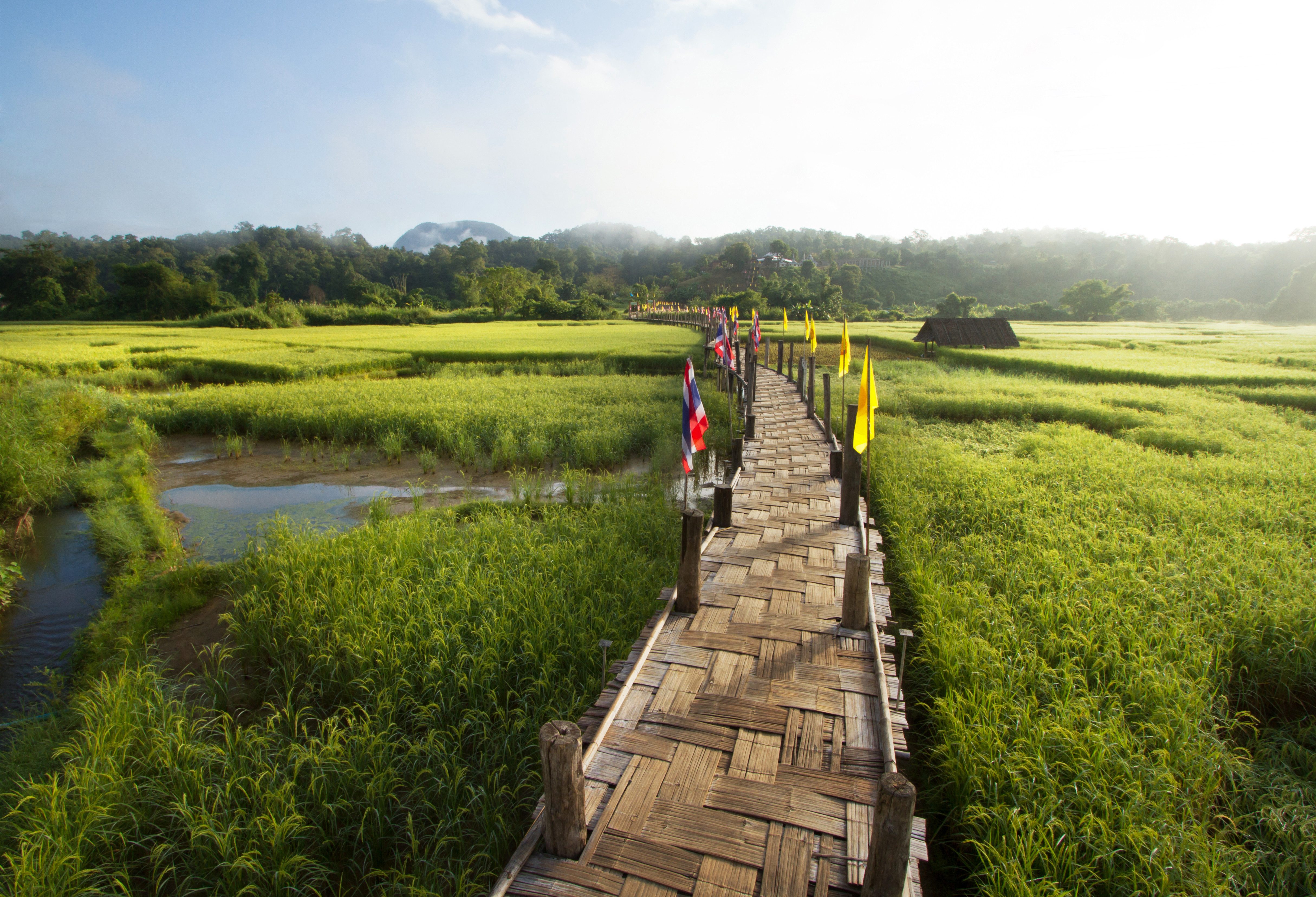 Thailand-Mae-Hong-Son-provincie-Sutong-Pe-bamboe-brug