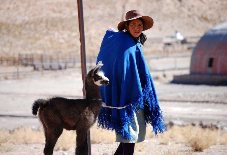 lokale vrouw met alpaca