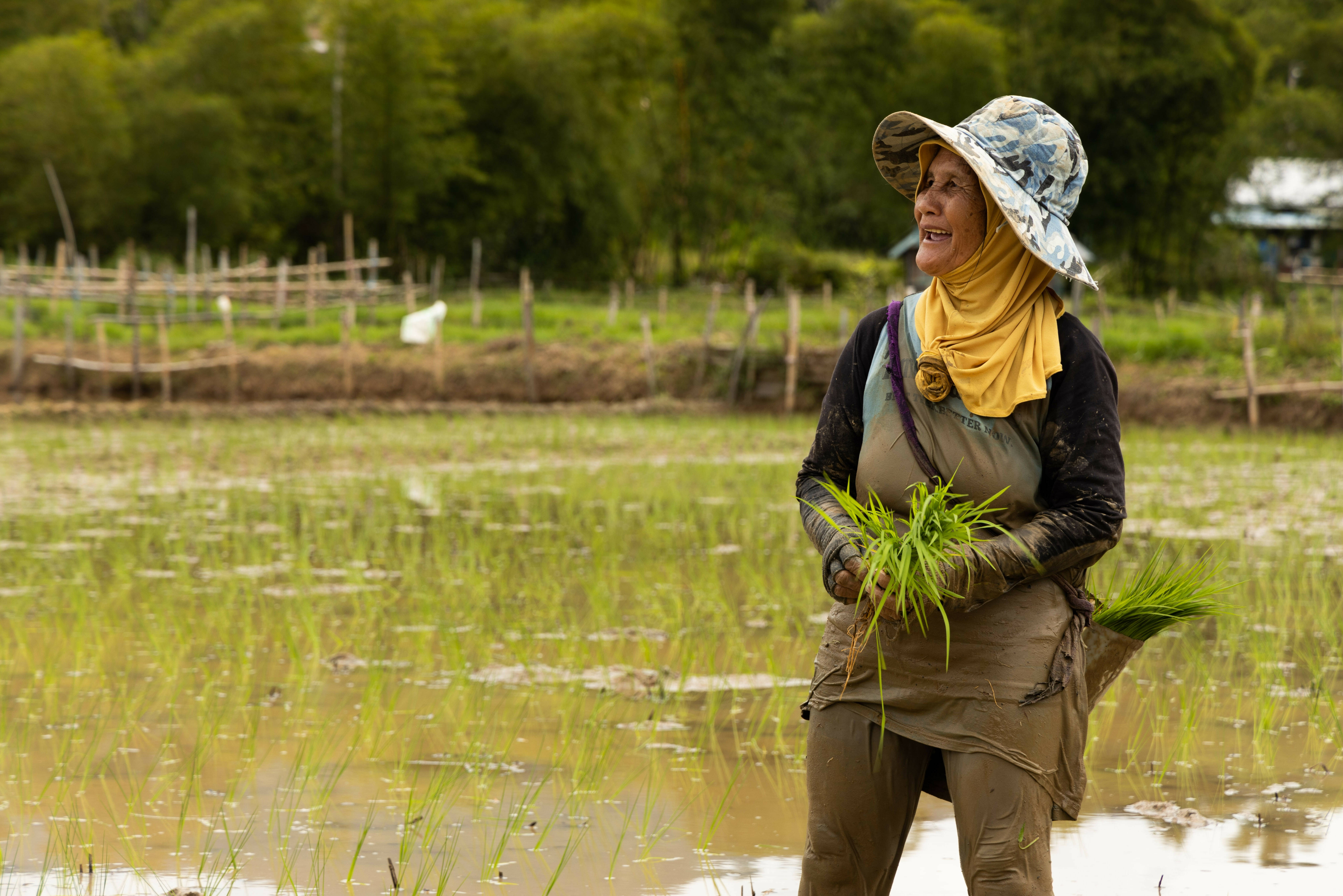 Boerin op het platteland van Penang