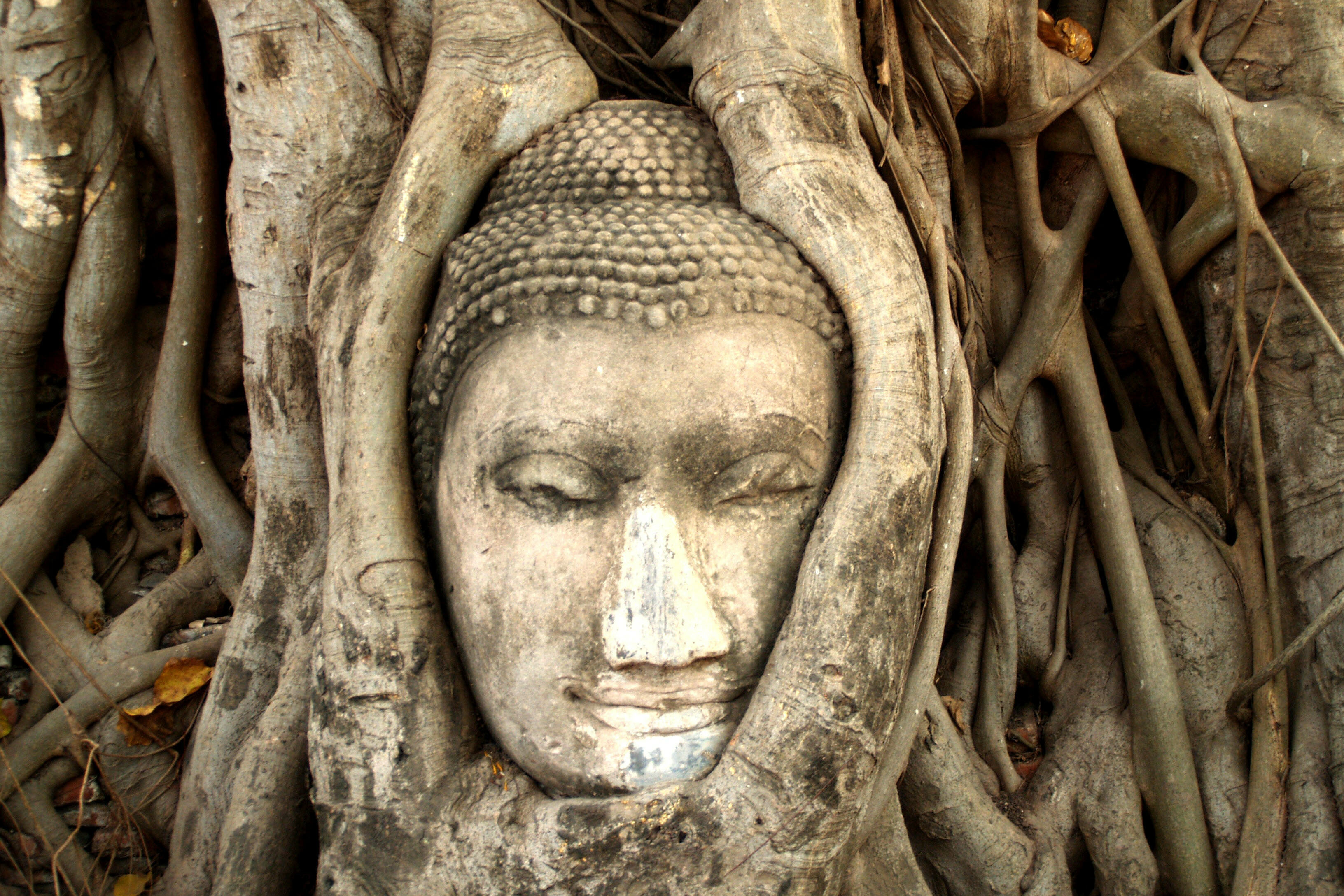 Ayutthaya Thailand