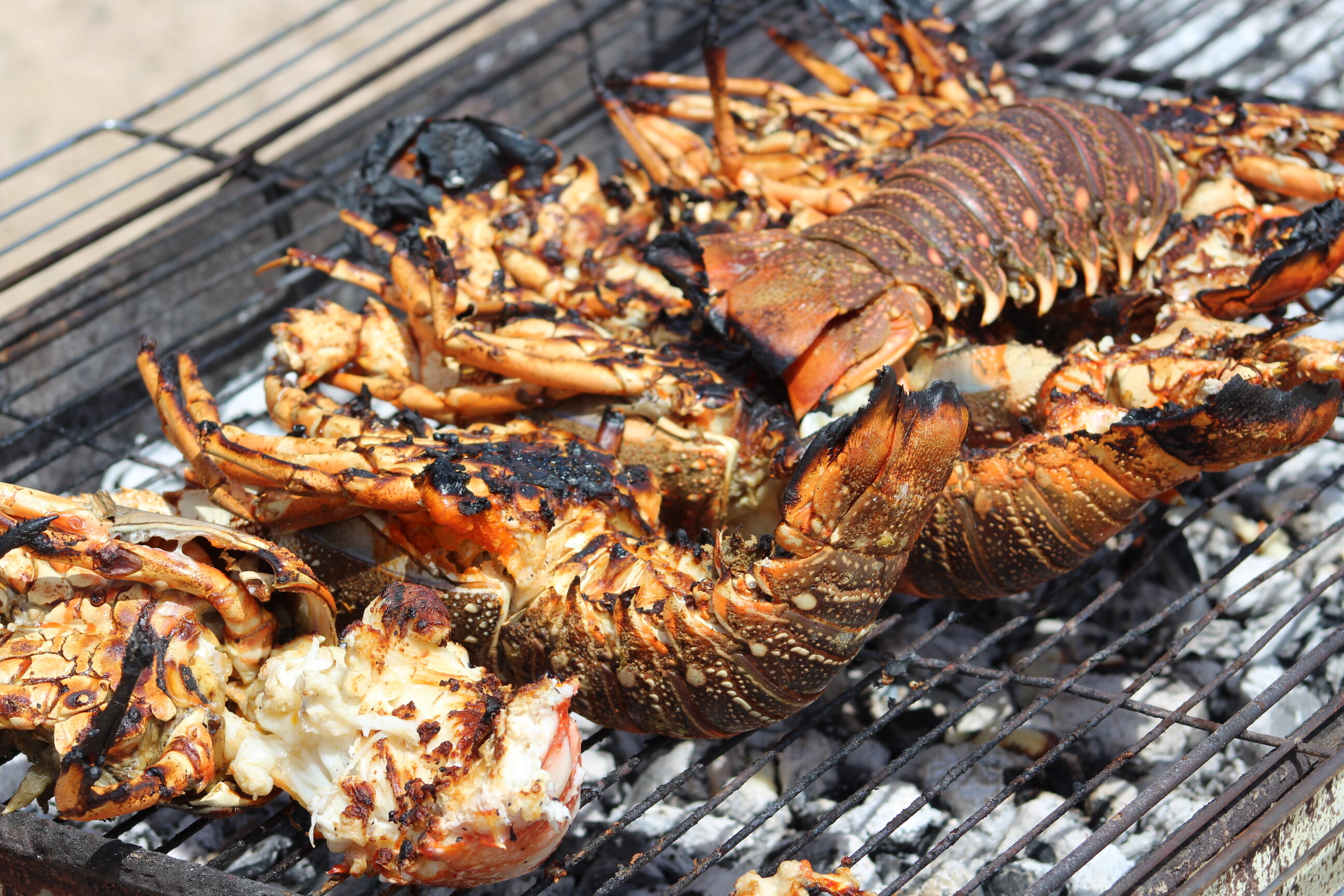 Oman Oman Salalah Souly Lodge Eten