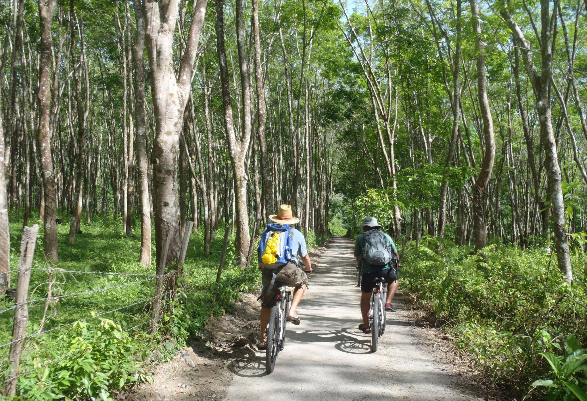 Fietsen op Langkawi