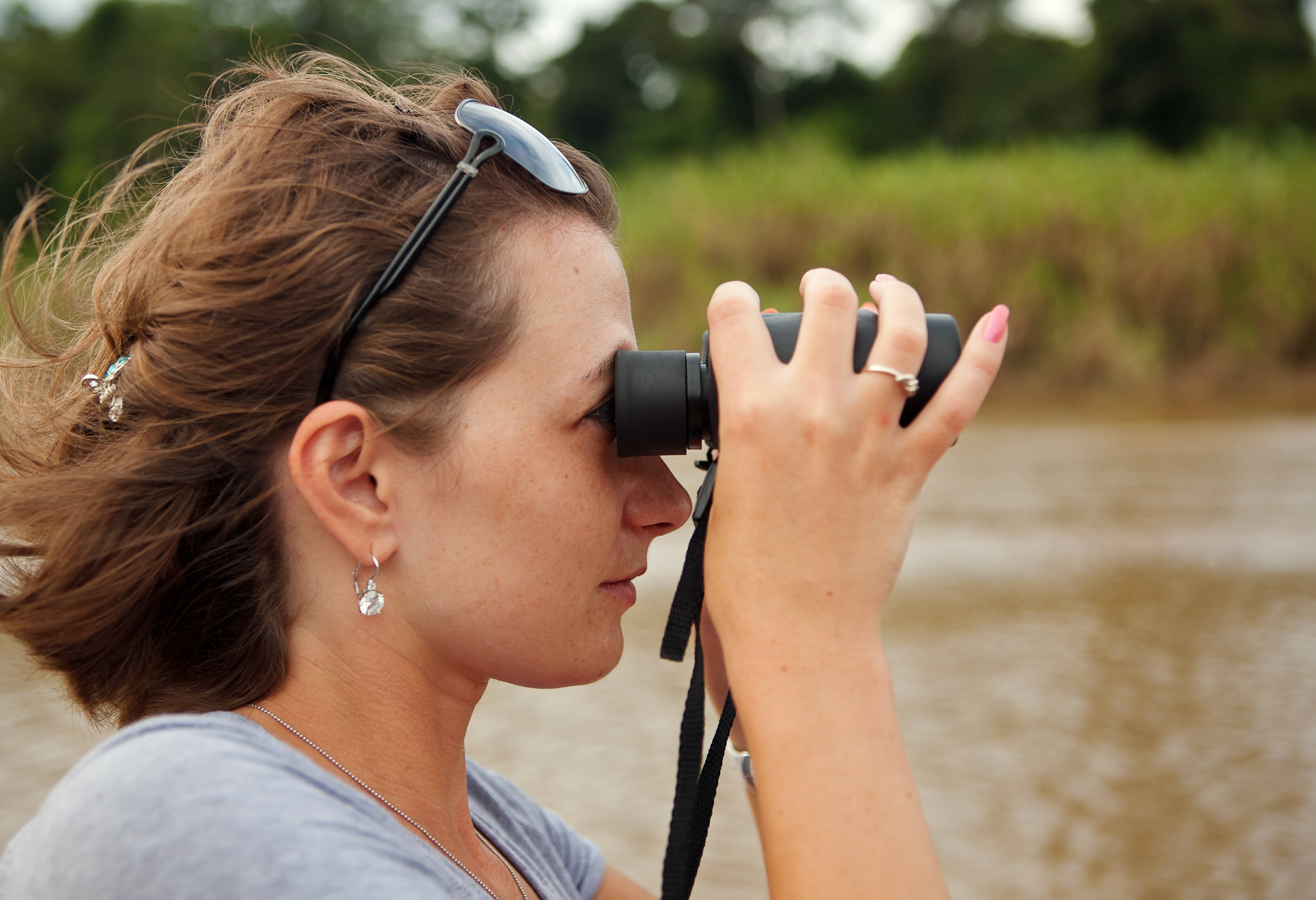 Wildlife spotten Kinabatangan Sabah Borneo