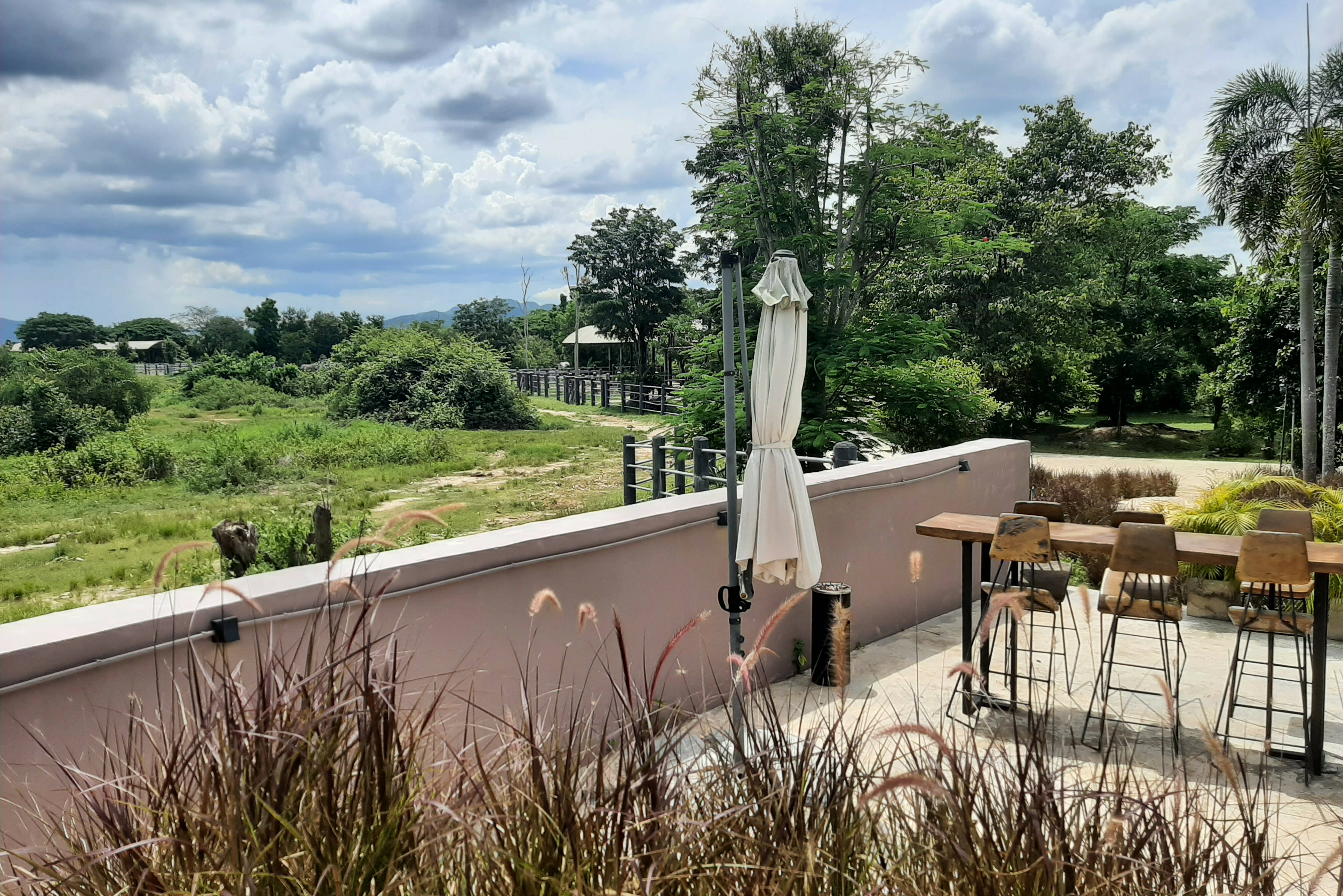 Bar met uitzicht op olifantenweide bij I Love Phants Lodge