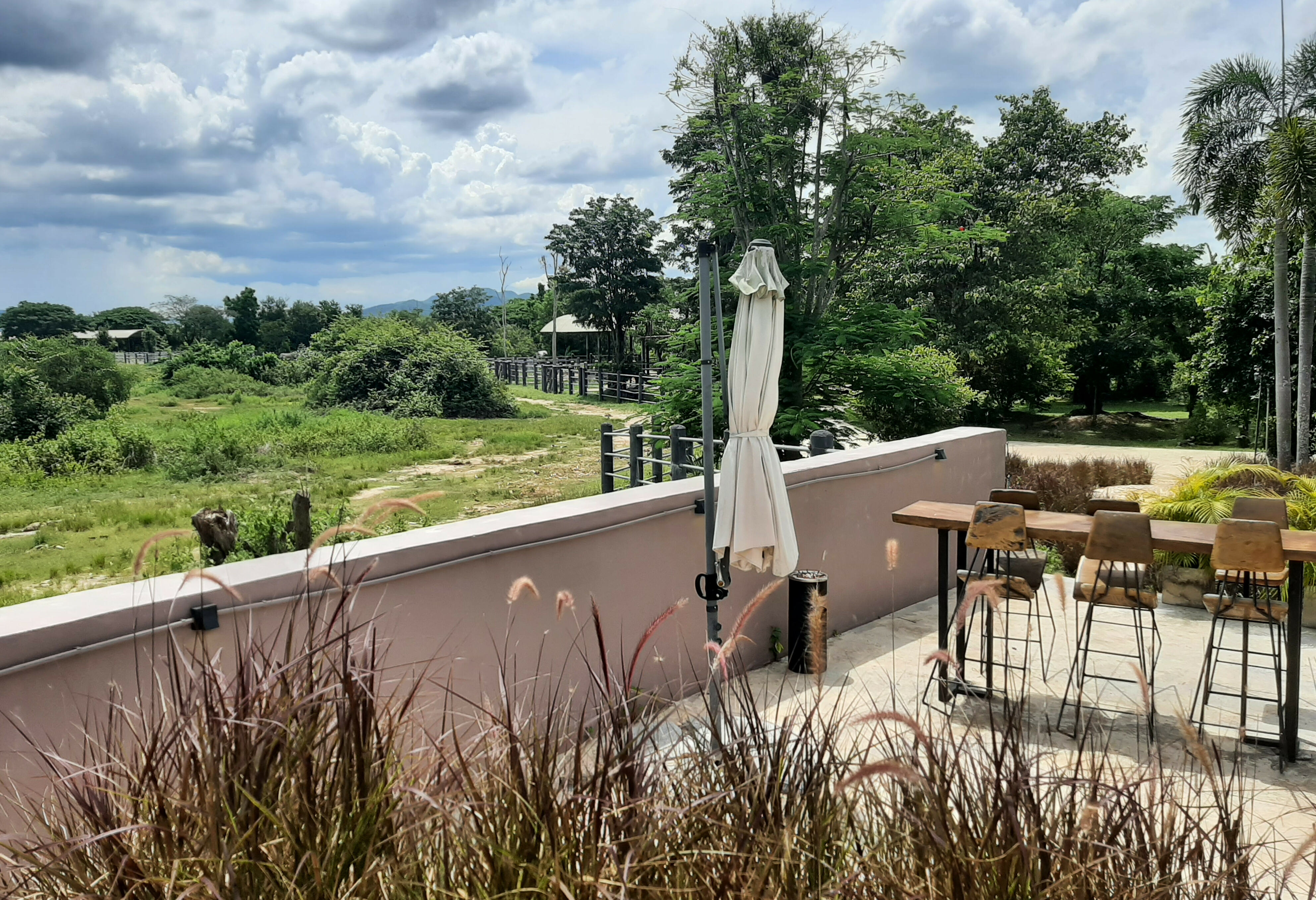 Bar naast olifantenweide I Lode Phants Lodge