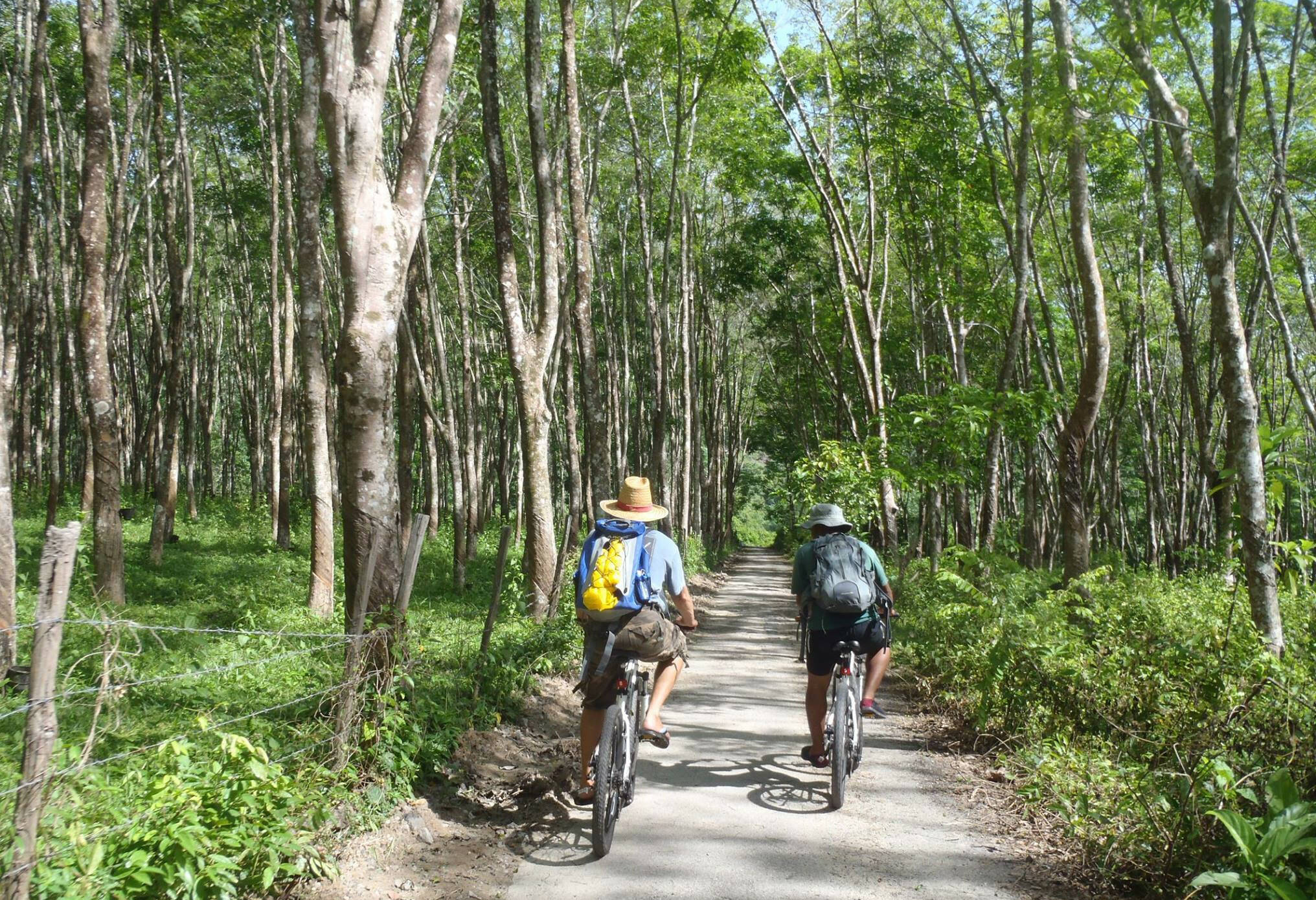 Fietsexcursie op Langkawi