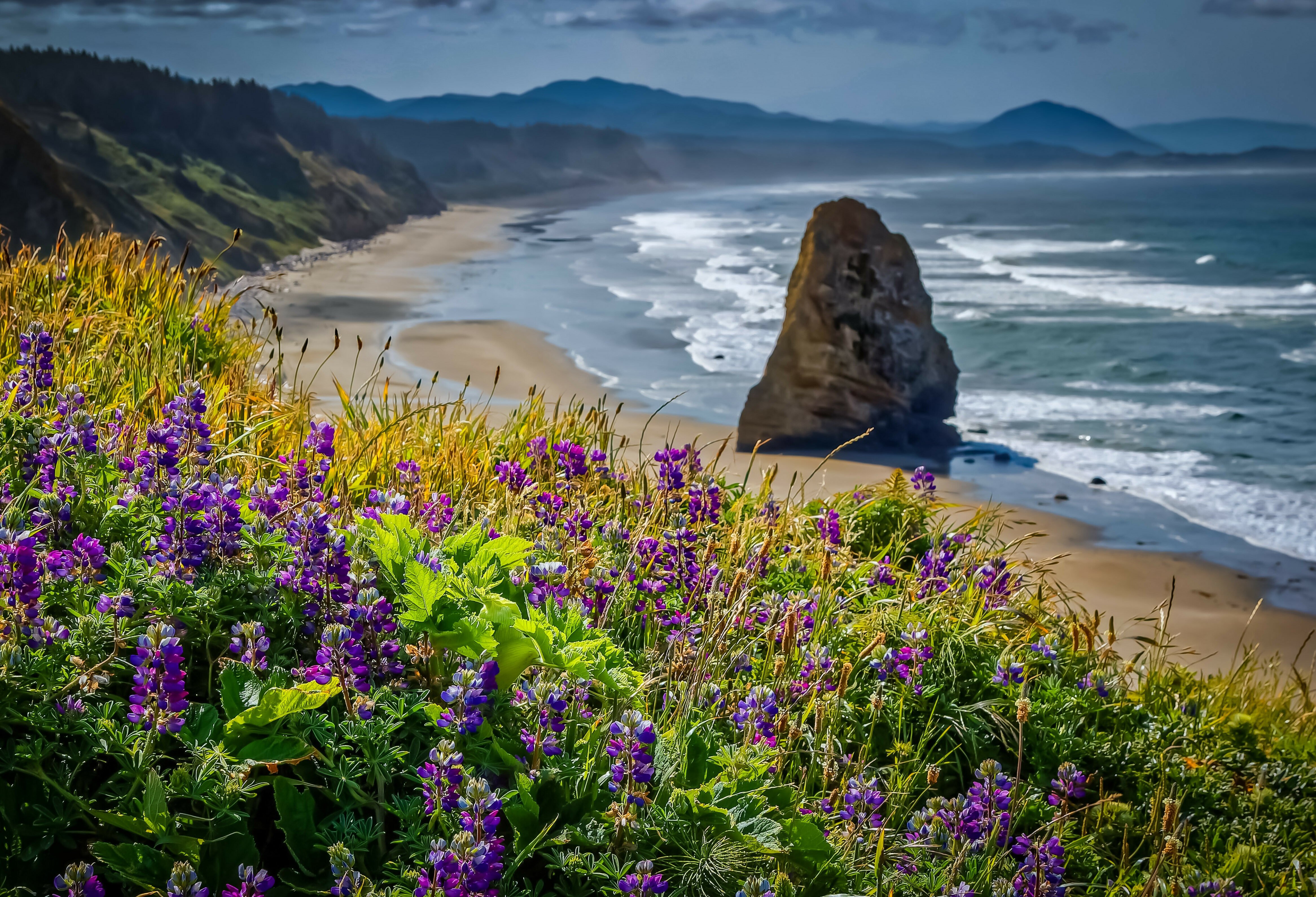 Oregon Coast Amerika