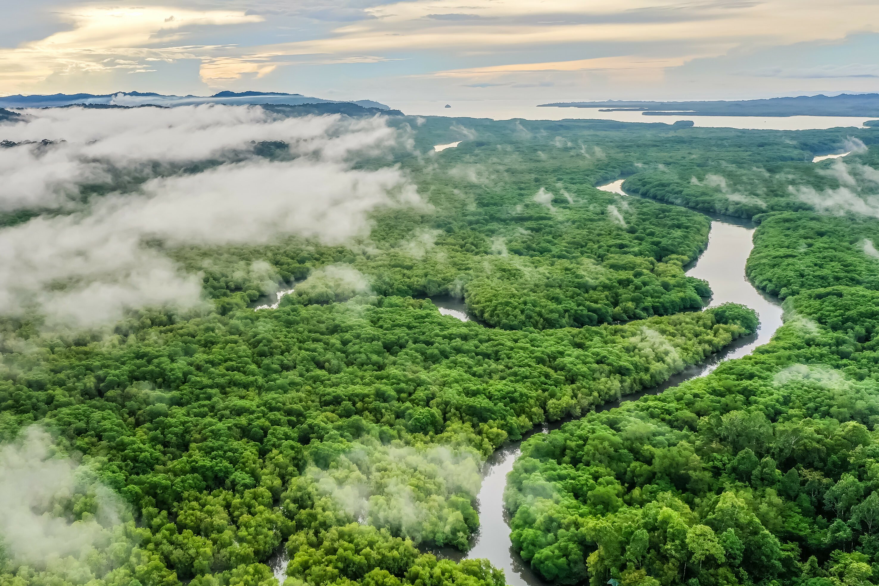 Kinabatangan rivier Sabah Borneo