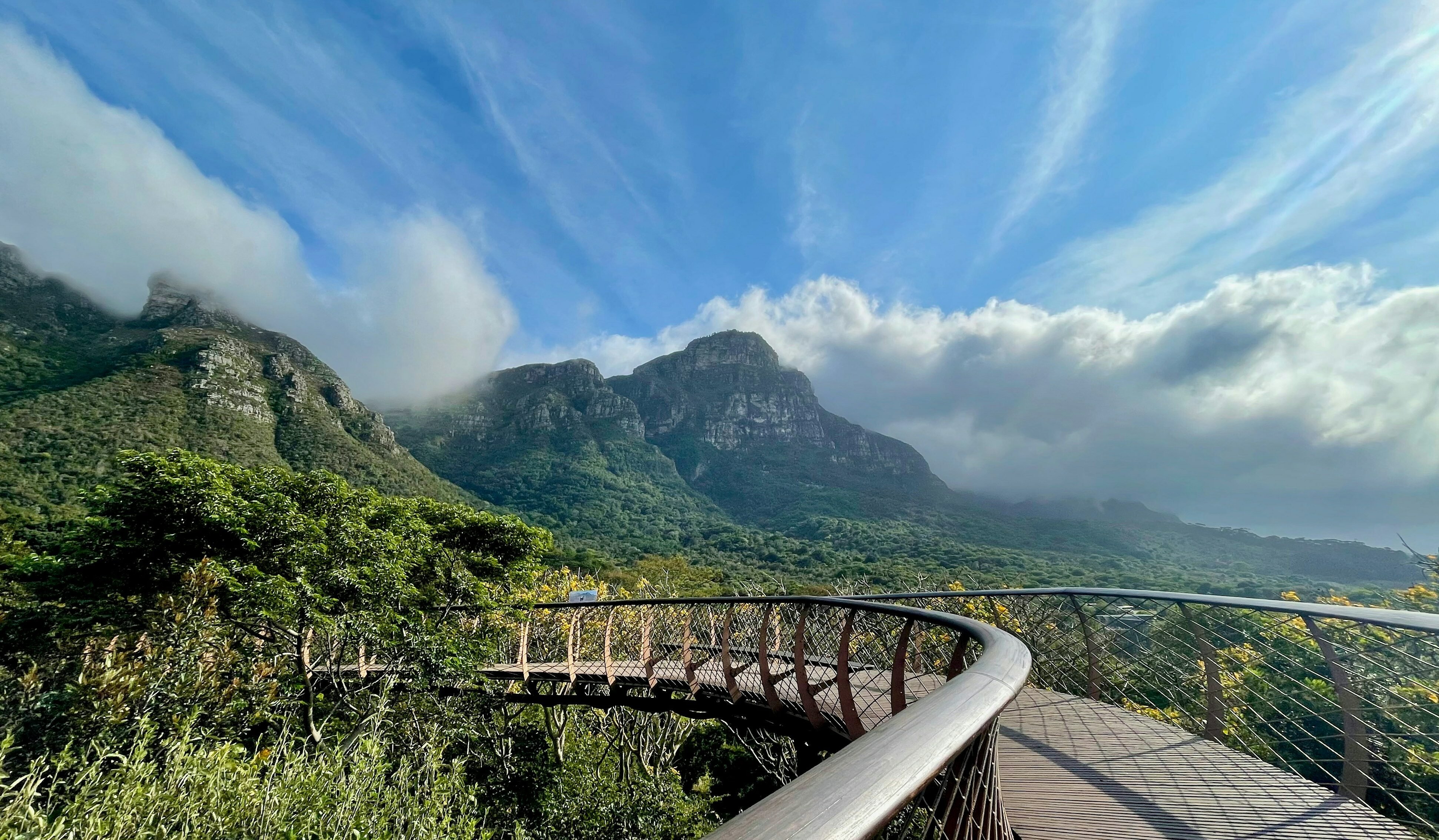 Kirstenbosch National Garden Kaapstad Zuid Afrika