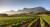 Wijnregio Stellenbosch en West-Kaap Zuid-Afrika